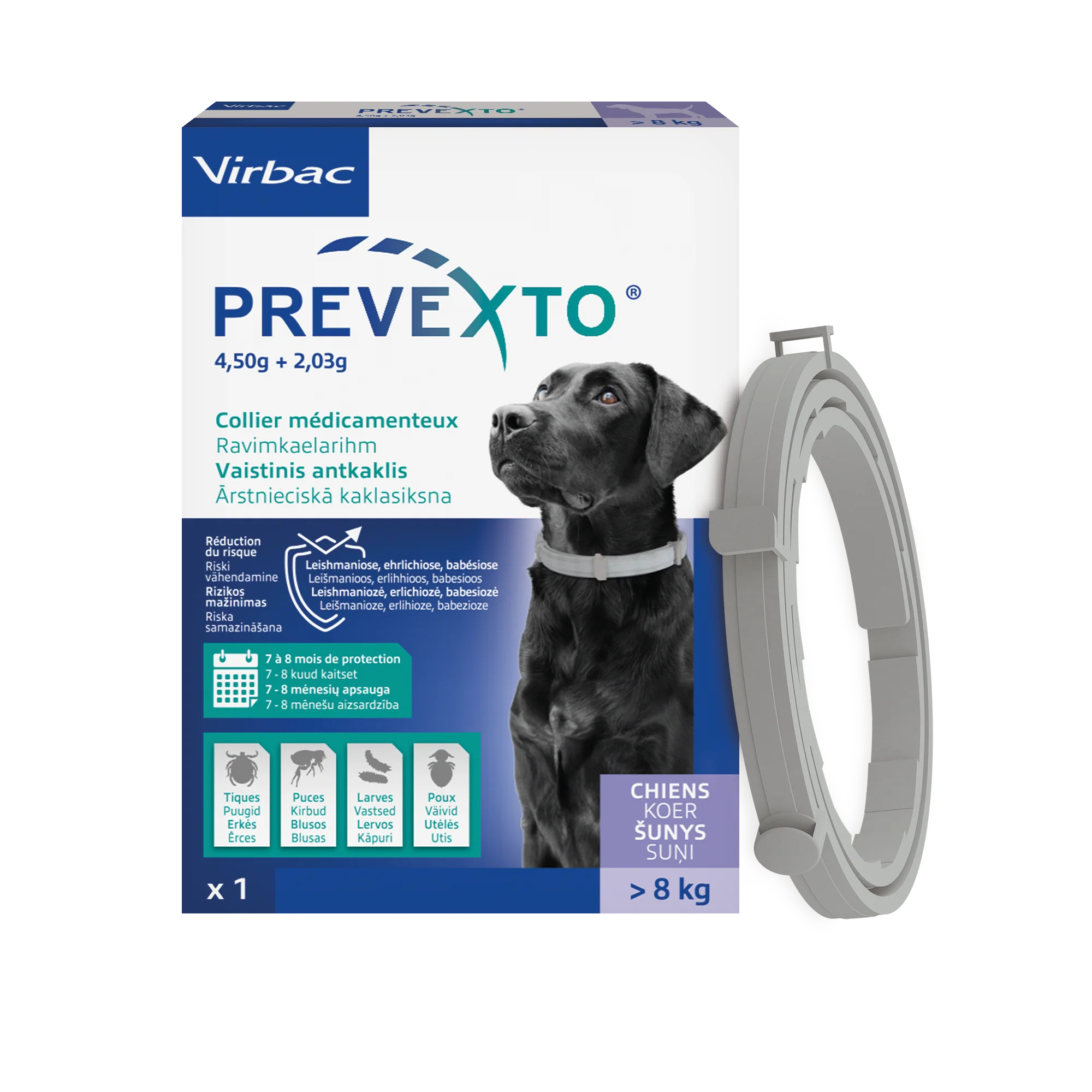 PREVEXTO  collier pour chien - Image 5