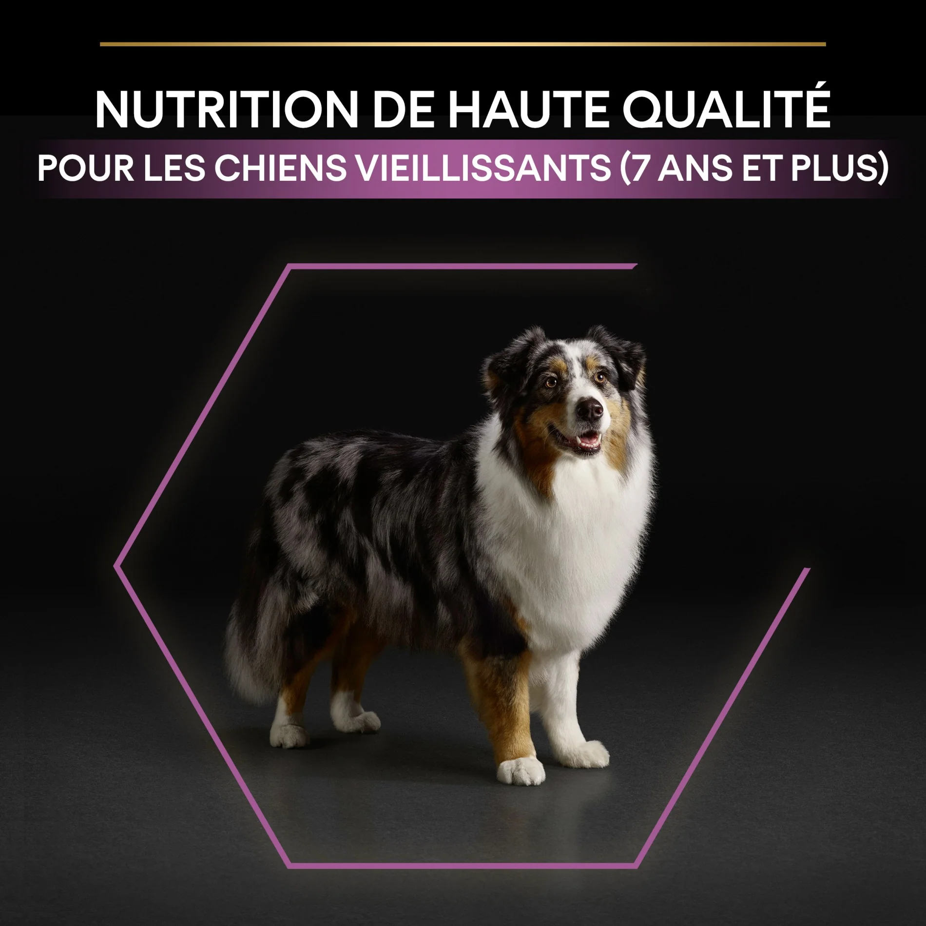 Pro Plan Age Defence Medium & Large Adult au poulet - croquettes chien - Image 10