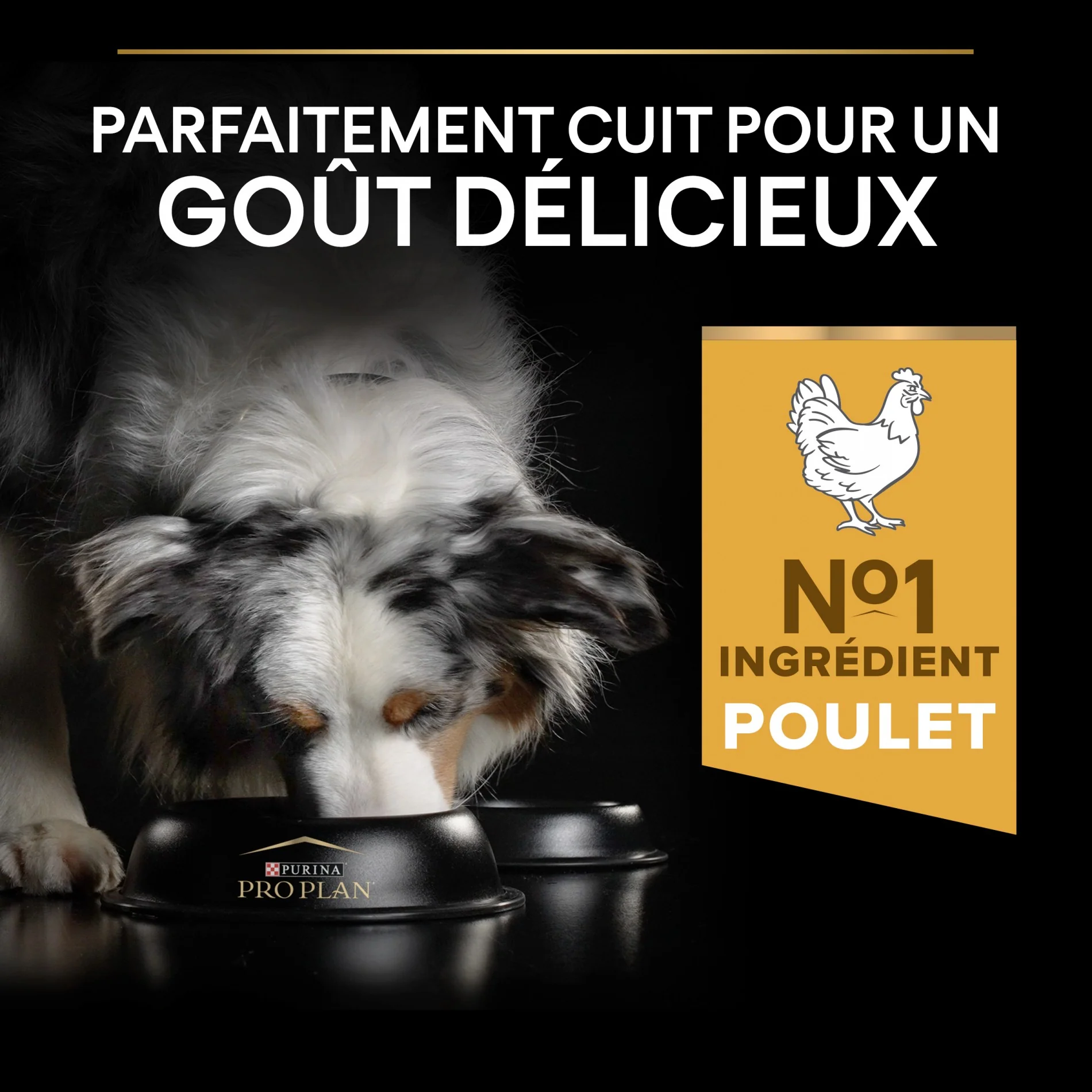 PRO PLAN Everyday Nutrition Medium Adult au Poulet - Croquettes pour chien - Image 12