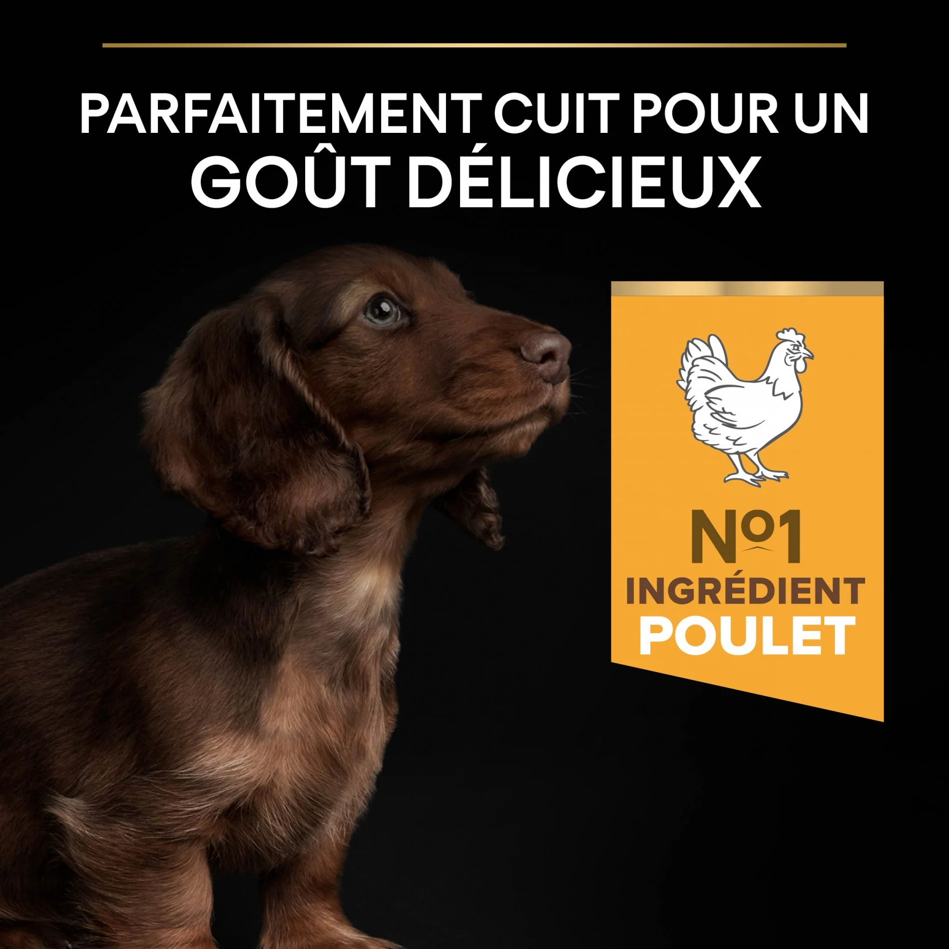 PRO PLAN Healthy Start Small & Mini Puppy au Poulet - Croquettes pour chien - Image 6