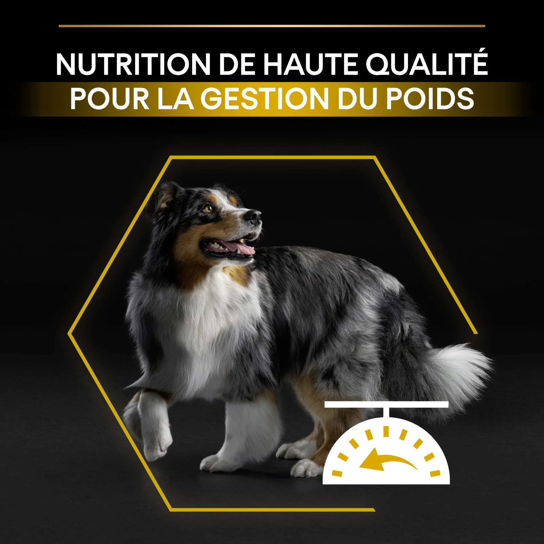 Pro Plan Light/Sterilised All Sizes Adult au poulet - croquettes chien - Image 13