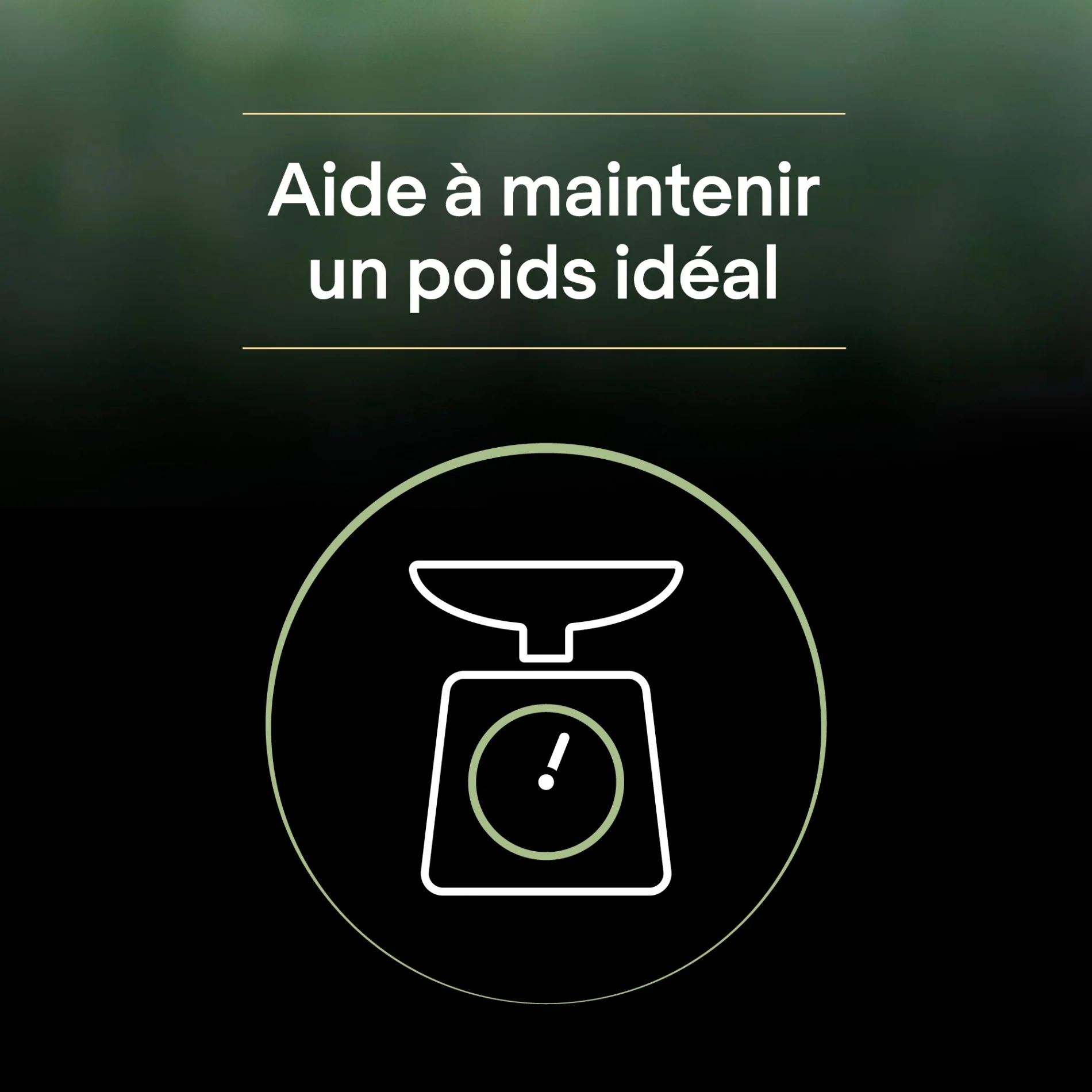 PRO PLAN LiveClear Sterilised Adult à la Dinde - Croquettes pour chat - Image 8