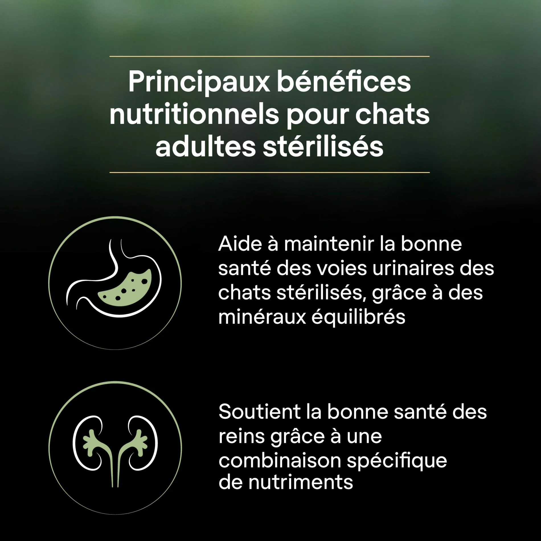 PRO PLAN LiveClear Sterilised Adult à la Dinde - Croquettes pour chat - Image 9