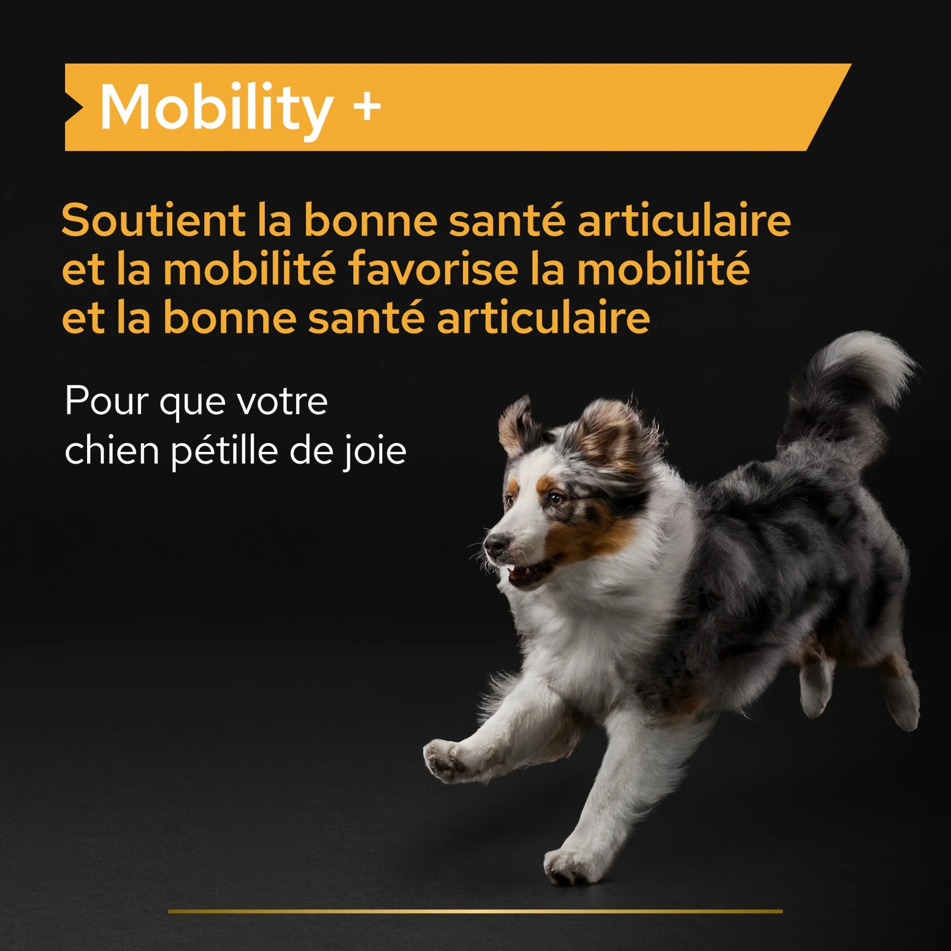 PRO PLAN Mobility+ en poudre - Aliment complémentaire pour chien - Image 11