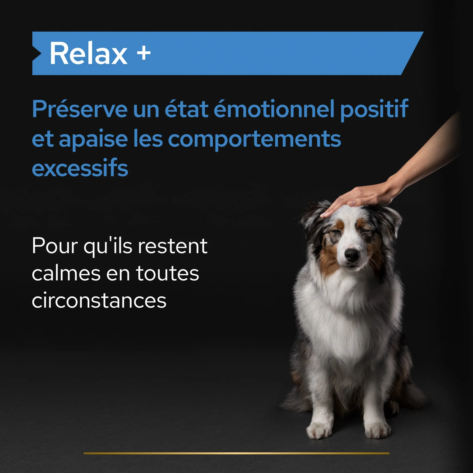 PRO PLAN Relax+ en huile - Aliment complémentaire pour chien - Image 5