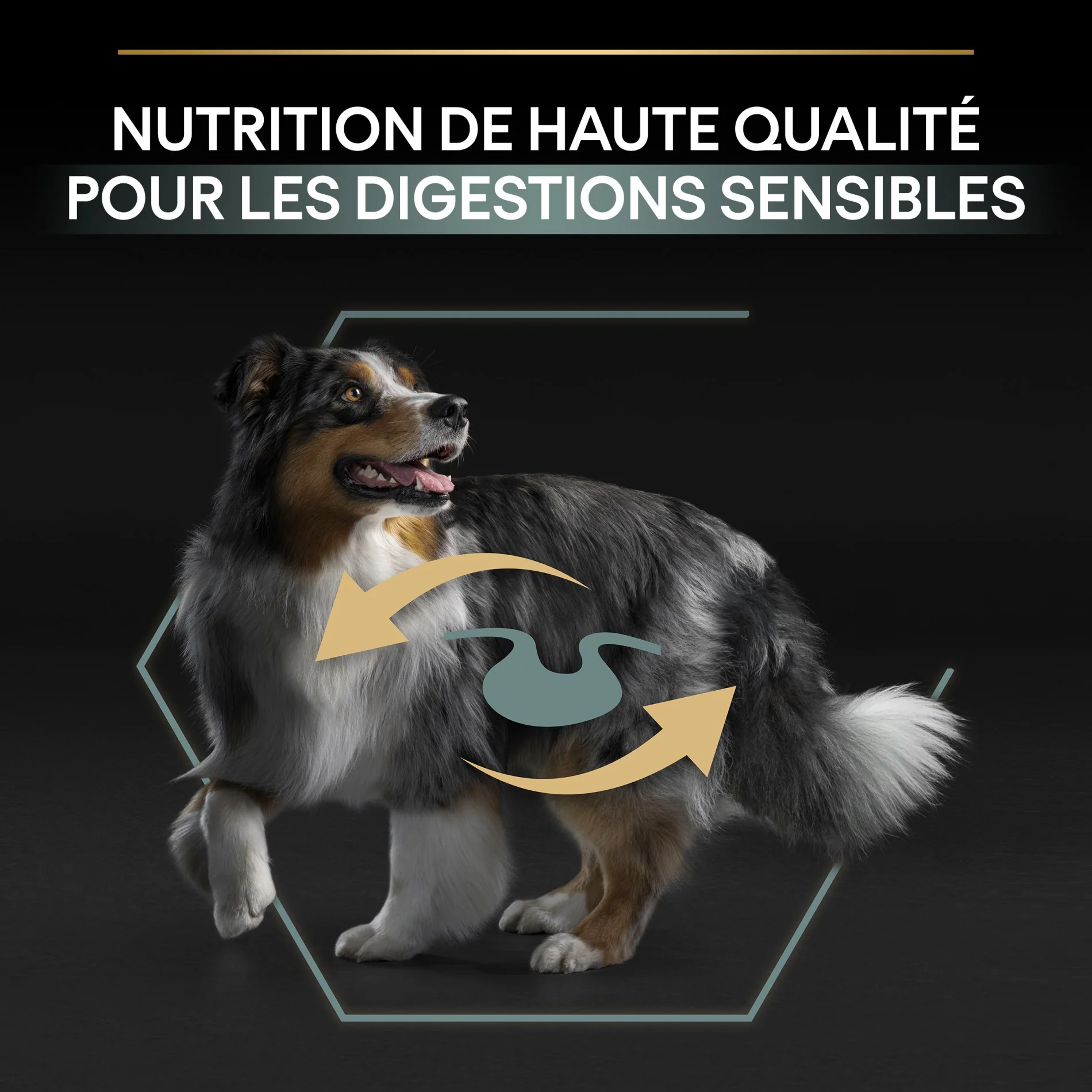 Pro Plan Sensitive Digestion Medium Adult à l'agneau - croquettes chien - Image 13