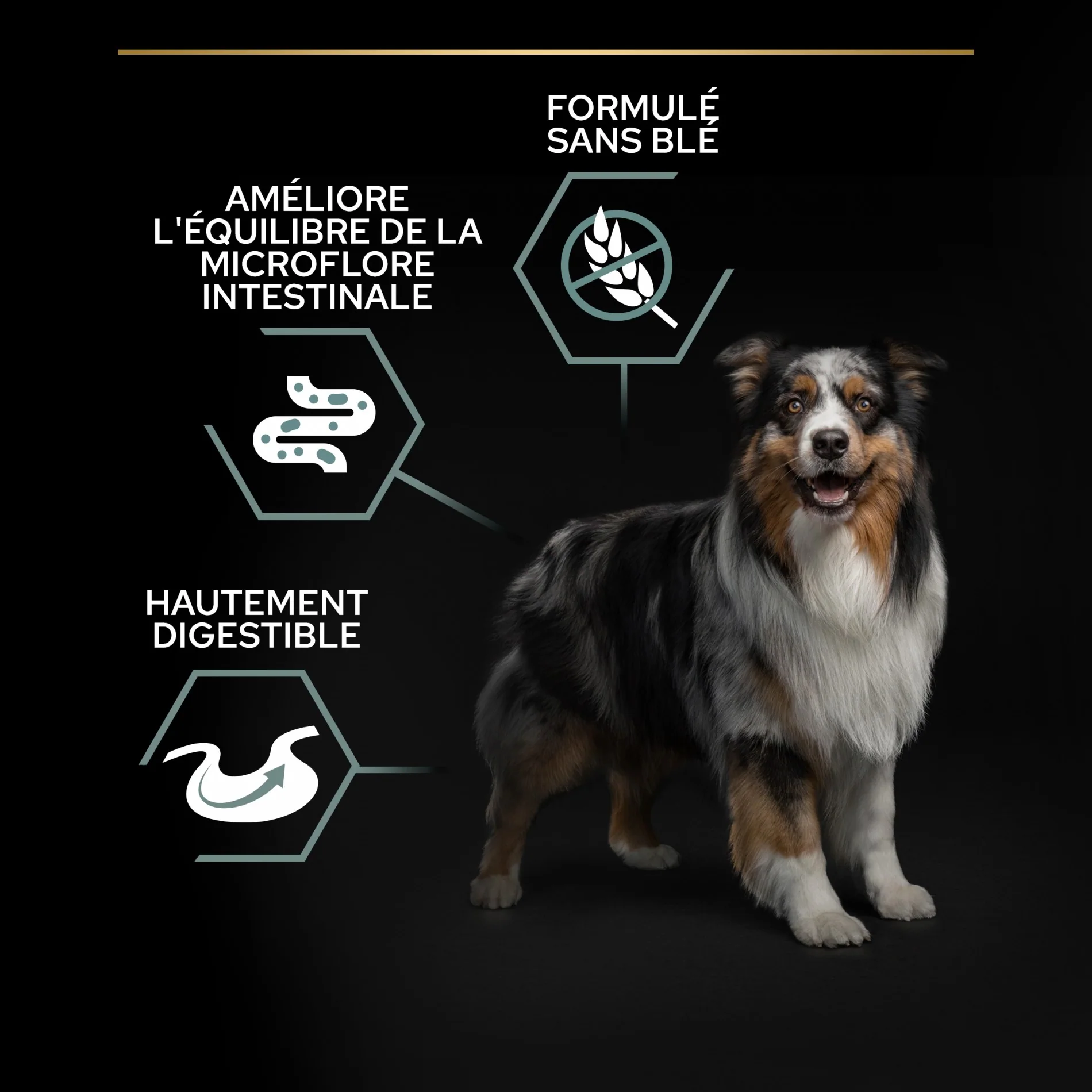 PRO PLAN Sensitive Digestion No Grain Medium & Large Adult à la Dinde - Croquettes pour chien - Image 8