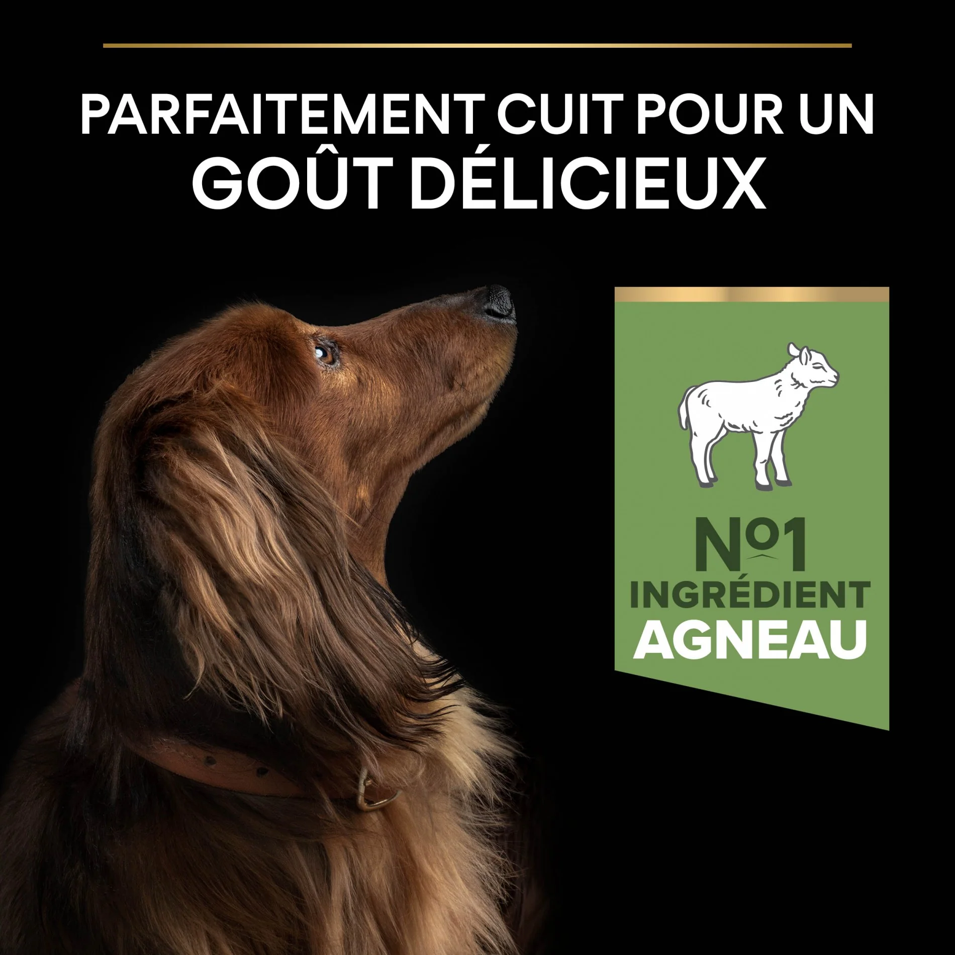 PRO PLAN Sensitive Digestion Small & Mini Adult à la Agneau- Croquettes pour chien - Image 6