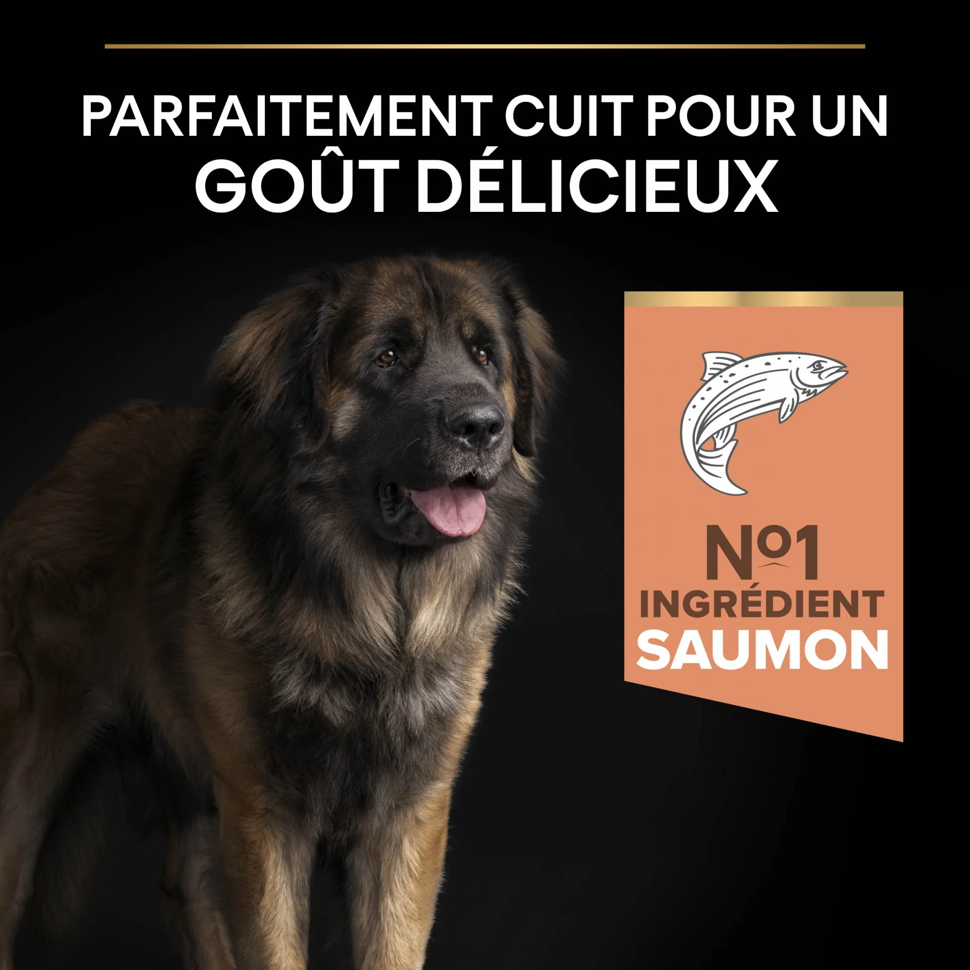 PRO PLAN Sensitive Skin Large Robust Adult au Saumon - Croquettes pour chien - Image 6