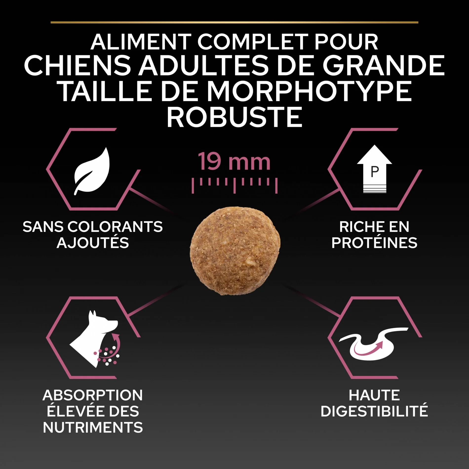 PRO PLAN Sensitive Skin Large Robust Adult au Saumon - Croquettes pour chien - Image 7