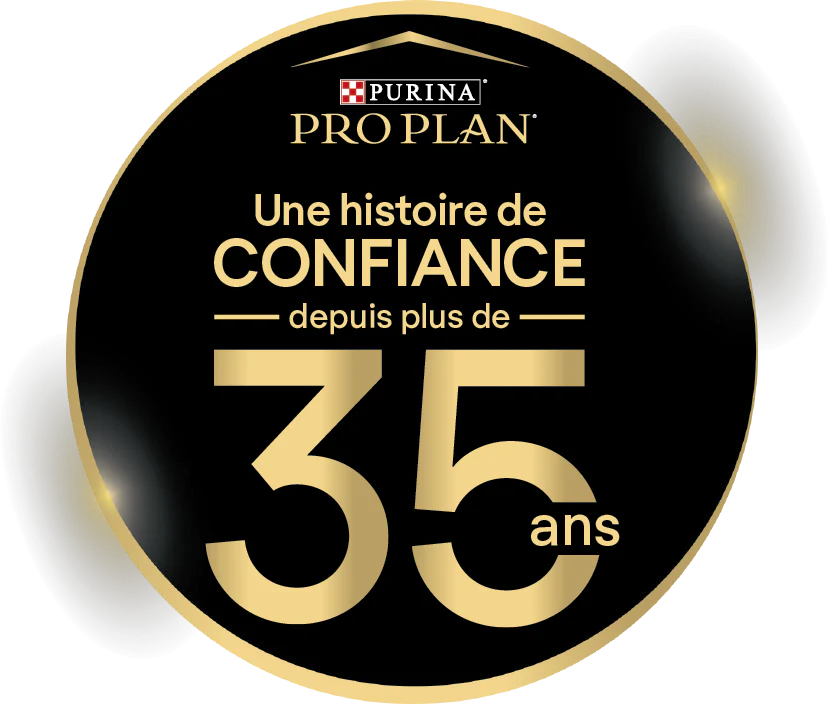 Pro Plan Veterinary Diets DM St/Ox Diabetes Management – Pâtées en bouchées pour chat - Image 9