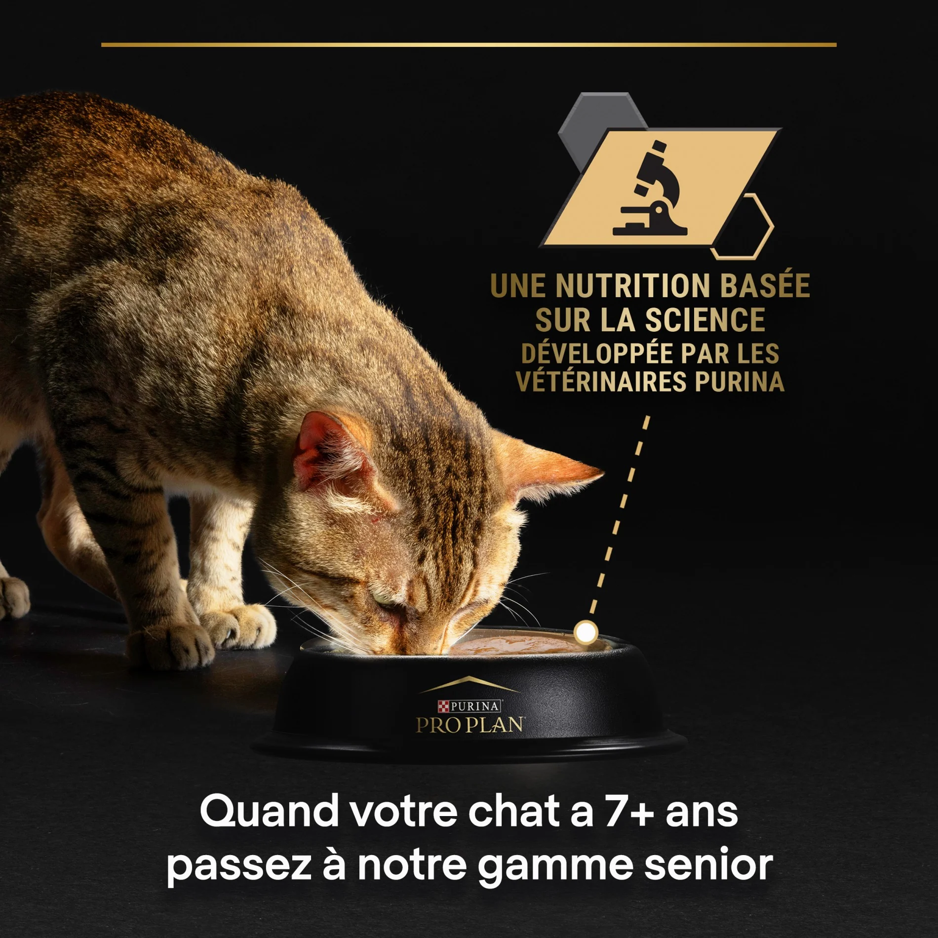 Pro Plan Delicate - pâtée chat - Image 5