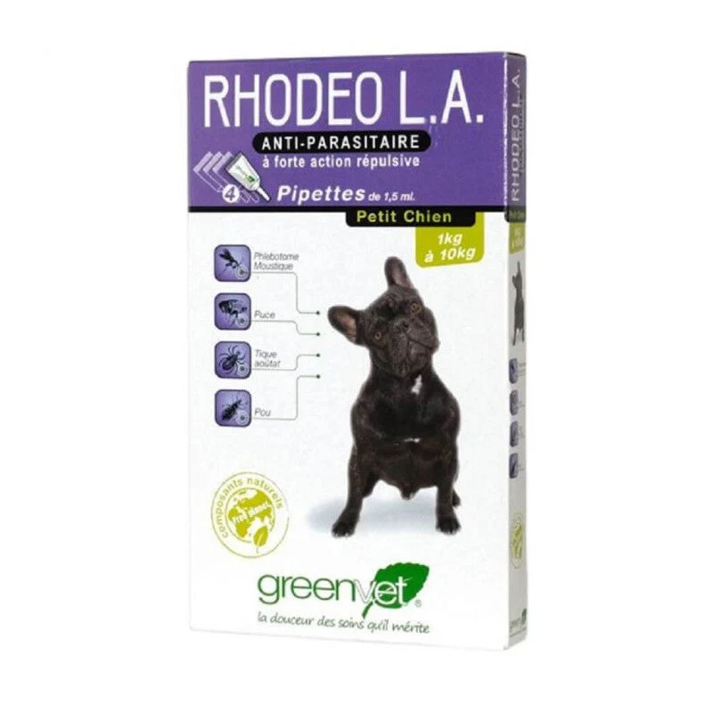 Rhodeo l.a Chien - Image 4