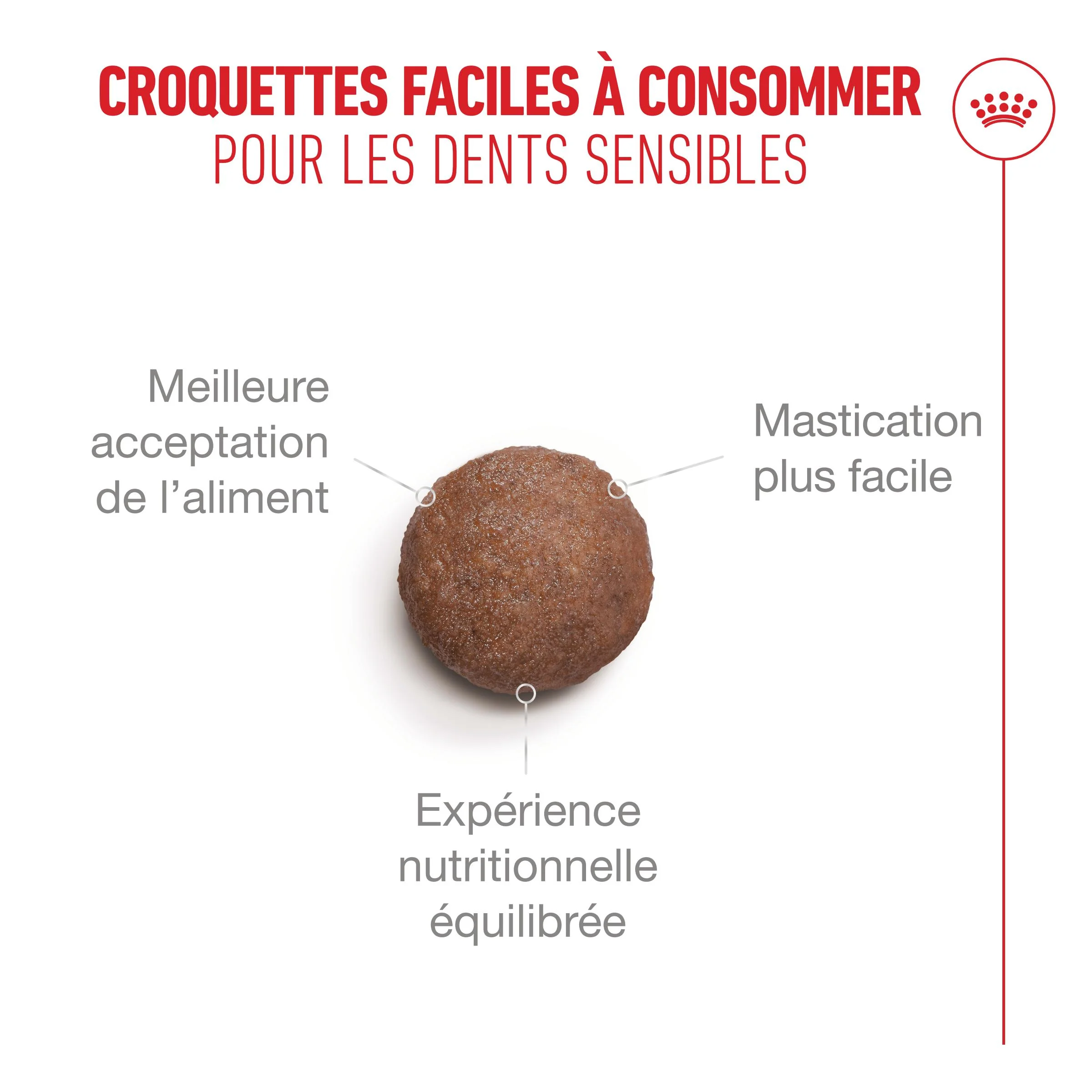 Royal Canin Ageing 15+ - Croquettes pour chat - Image 8