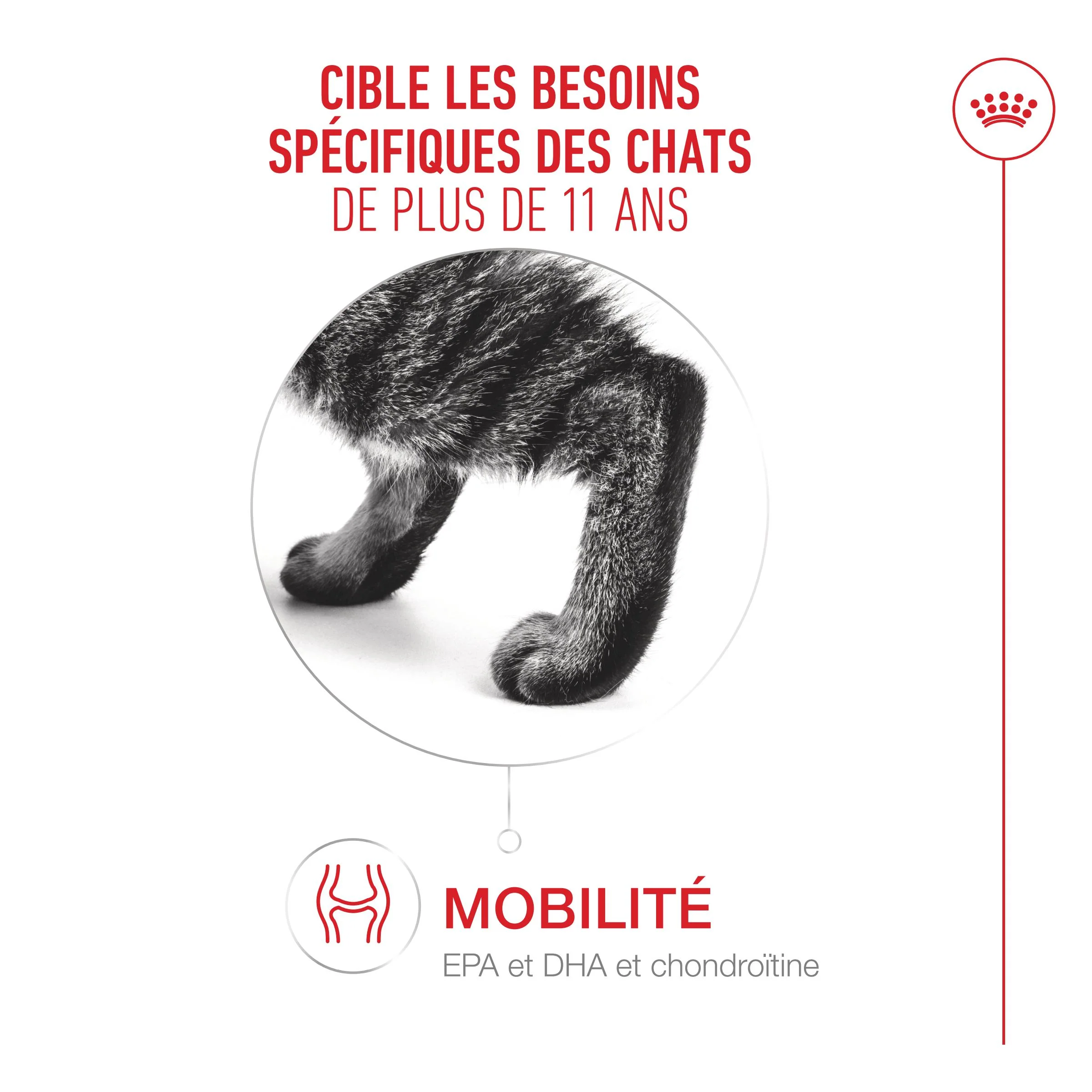 Royal Canin Ageing 11+ - Croquettes pour chat - Image 10