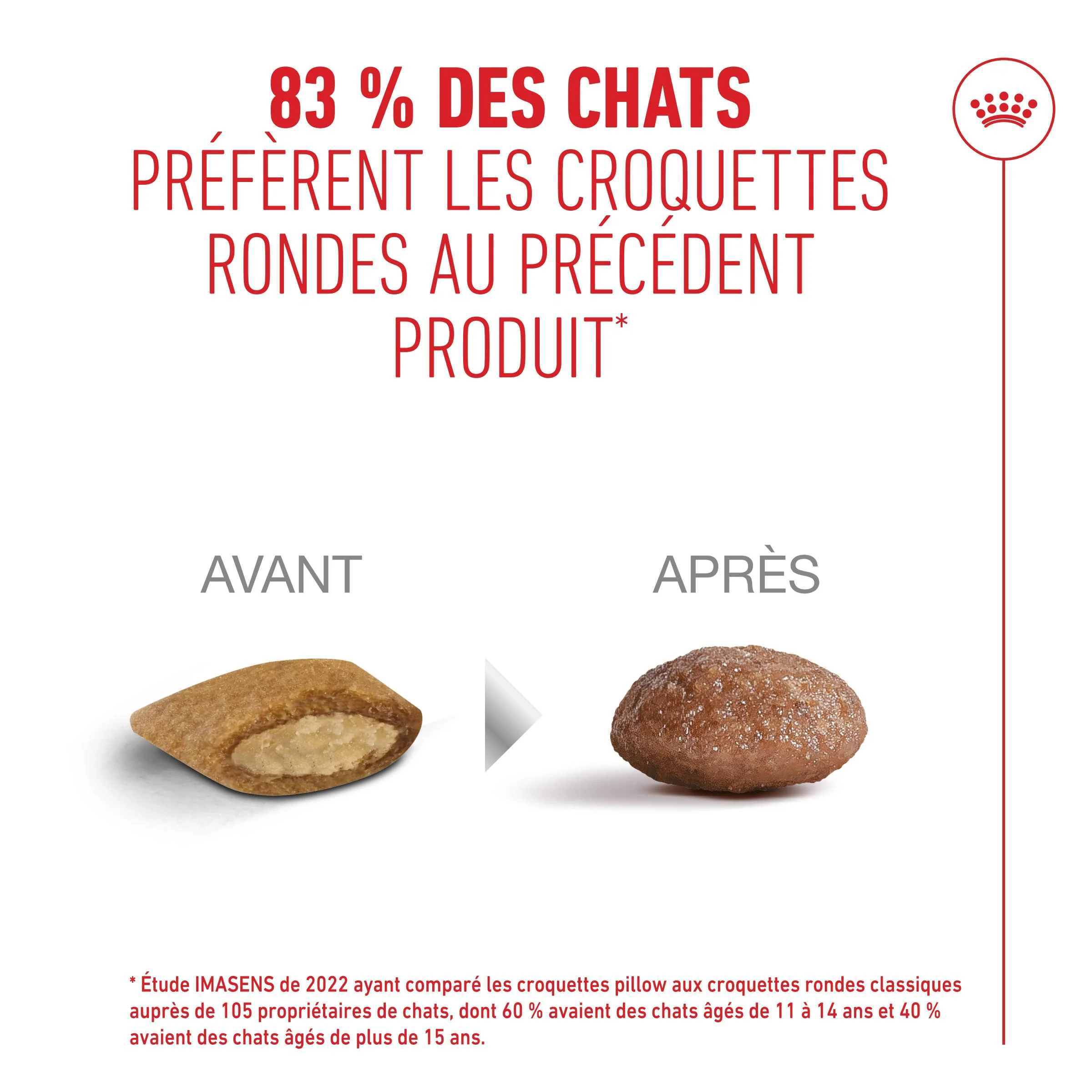 Royal Canin Ageing 11+ - Croquettes pour chat - Image 6