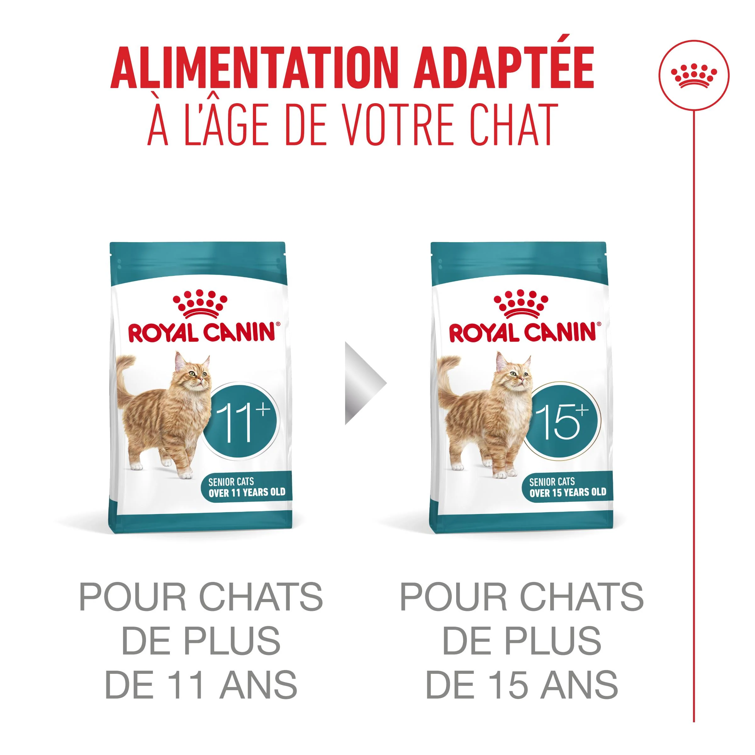 Royal Canin Ageing 11+ - Croquettes pour chat - Image 7