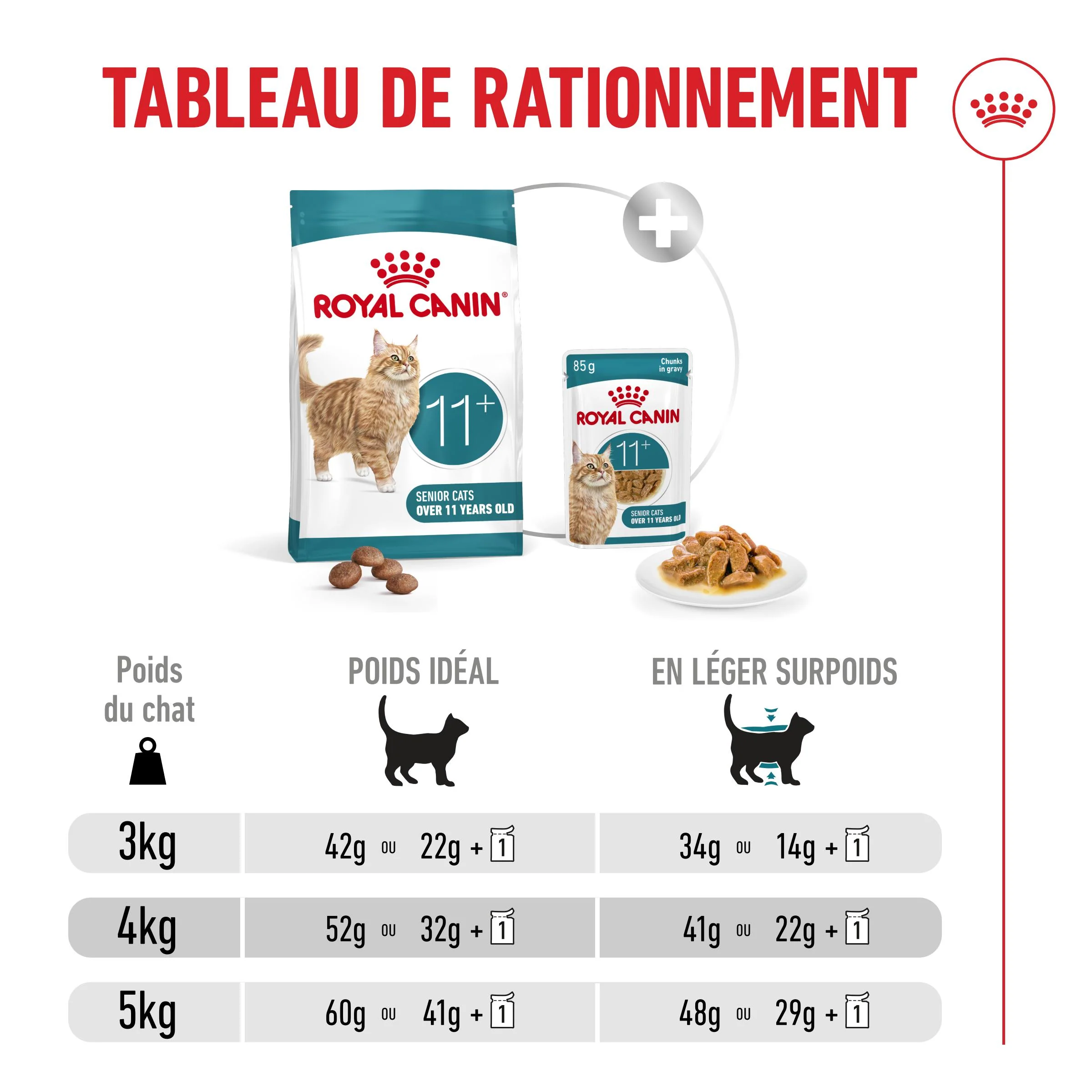 Royal Canin Ageing 11+ - Croquettes pour chat - Image 8