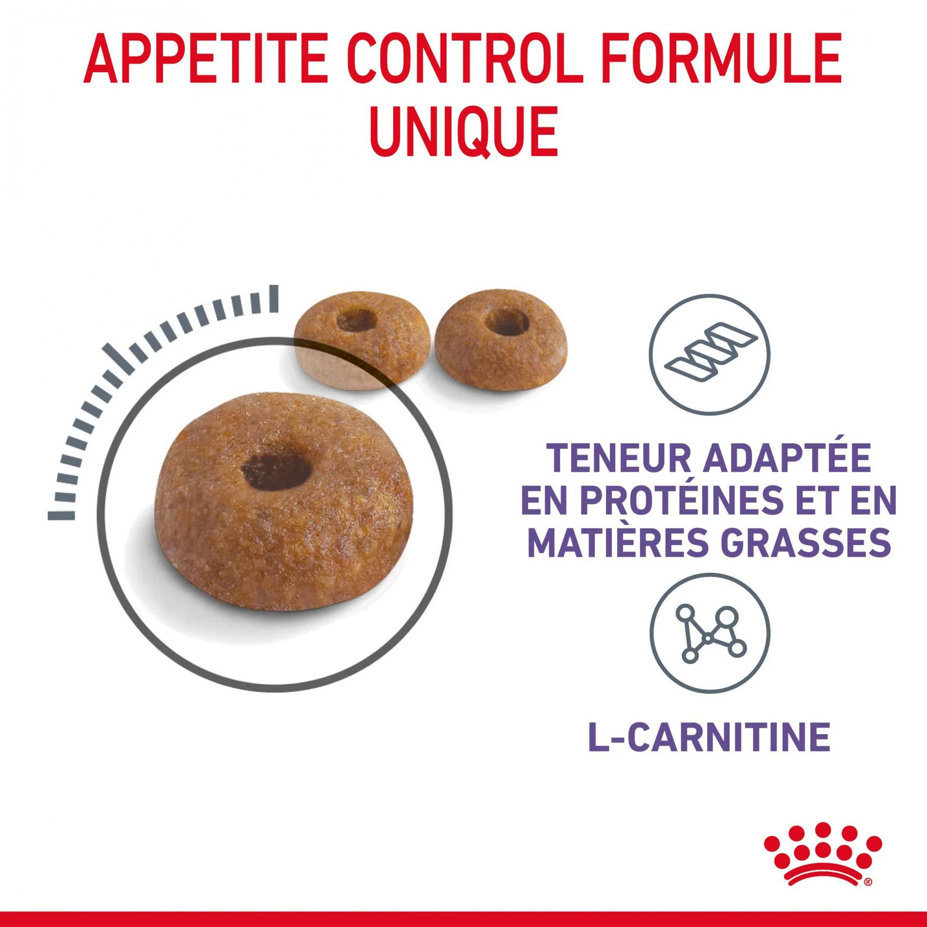 Royal Canin Appetite Control Care - croquettes chat - Image 4