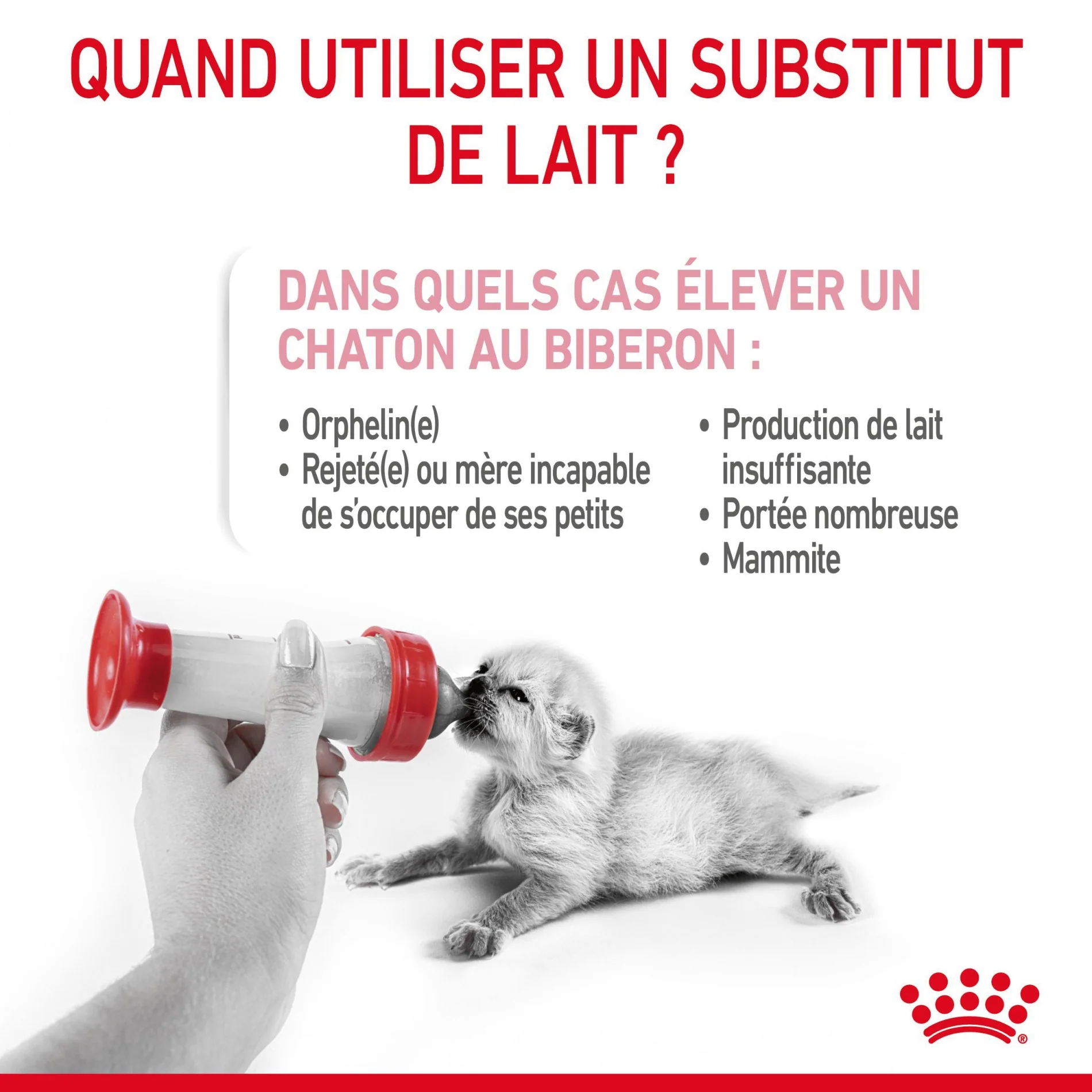 ROYAL CANIN Babycat Milk - Lait maternisé pour chaton - Image 3