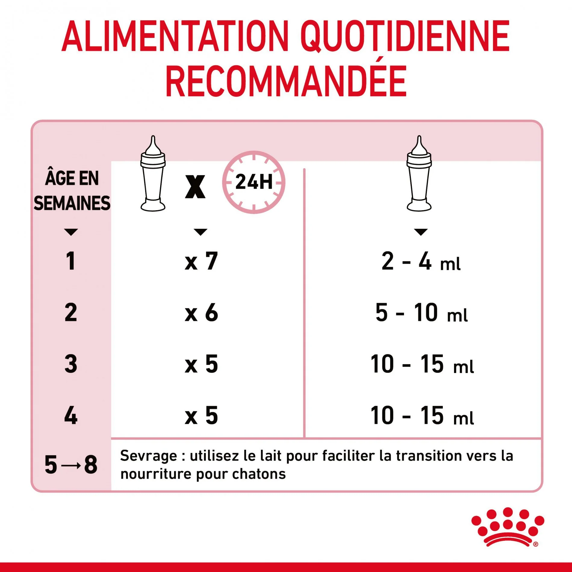 ROYAL CANIN Babycat Milk - Lait maternisé pour chaton - Image 9