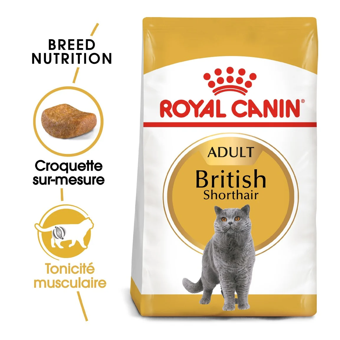 Royal Canin British Shorthair Adult - Image 13
