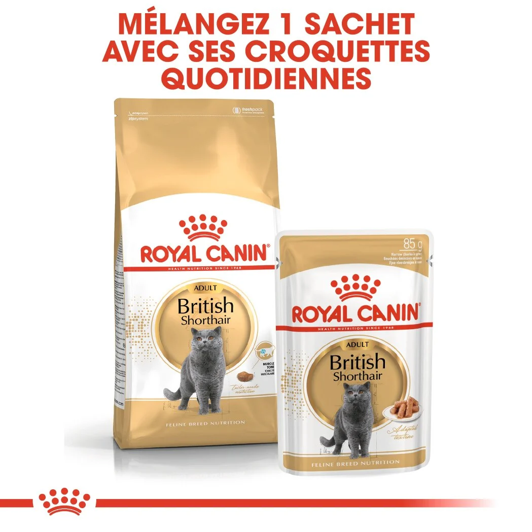 Royal Canin British Shorthair Adult - Image 9