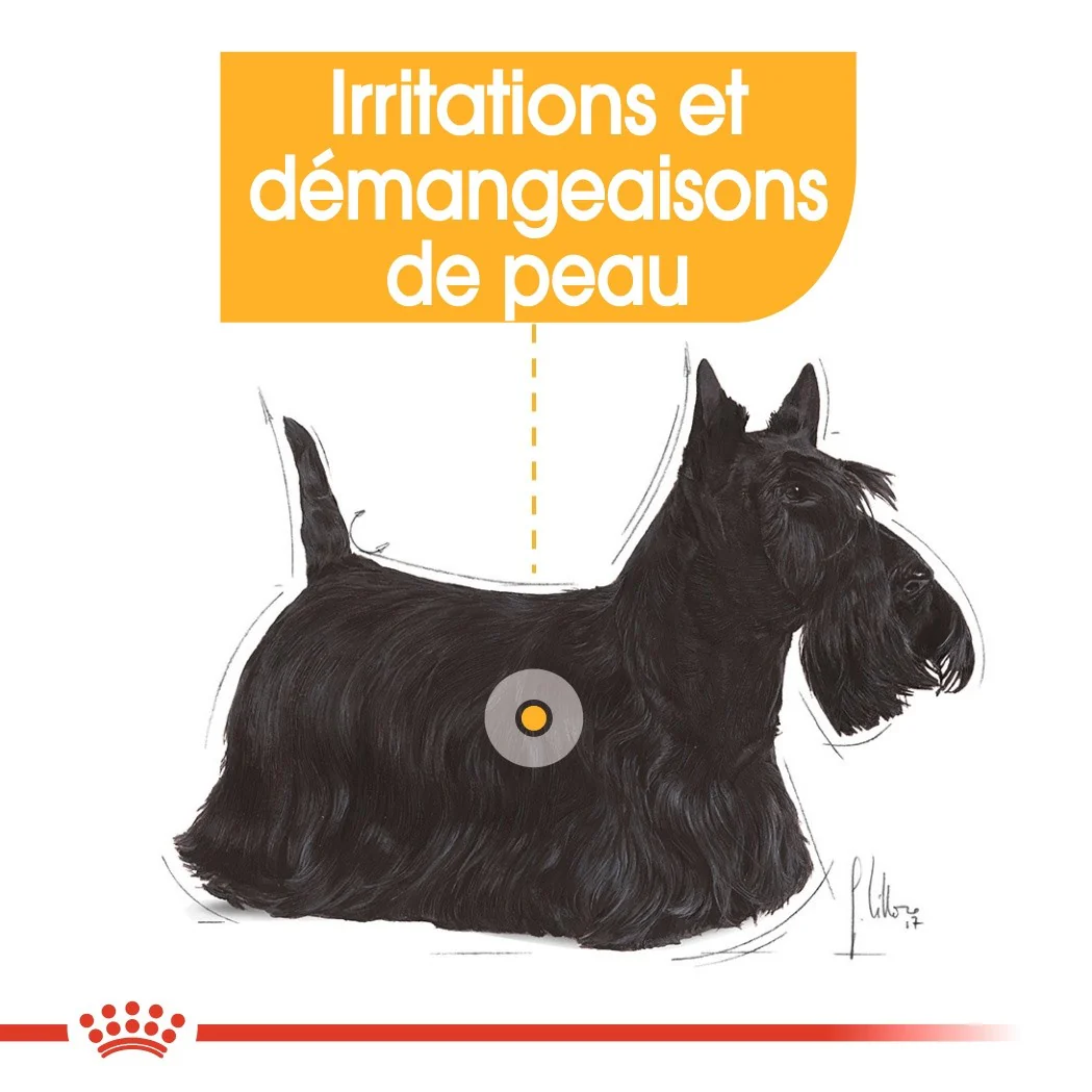 Royal Canin Dermacomfort - Pâtée pour chien - Image 3