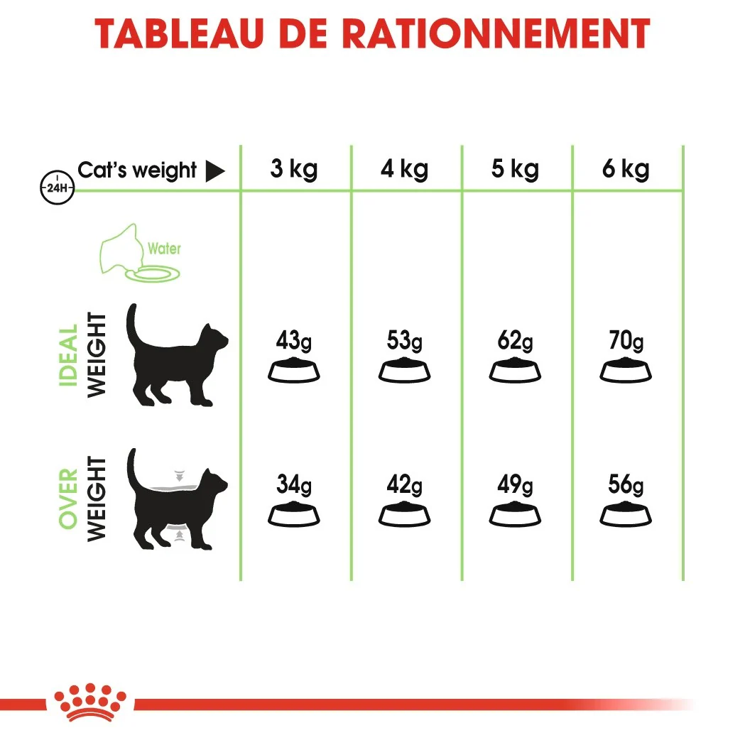 ROYAL CANIN Digestive Care – Croquettes pour chat - Image 5