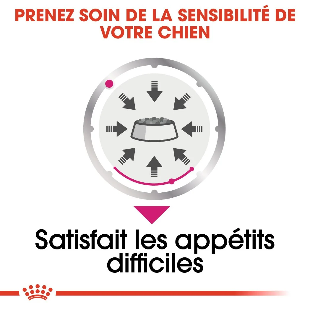 Royal Canin Exigent - Pâtée pour chien - Image 5