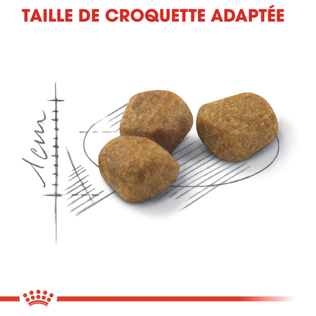 Royal Canin Fit 32 - Image 4