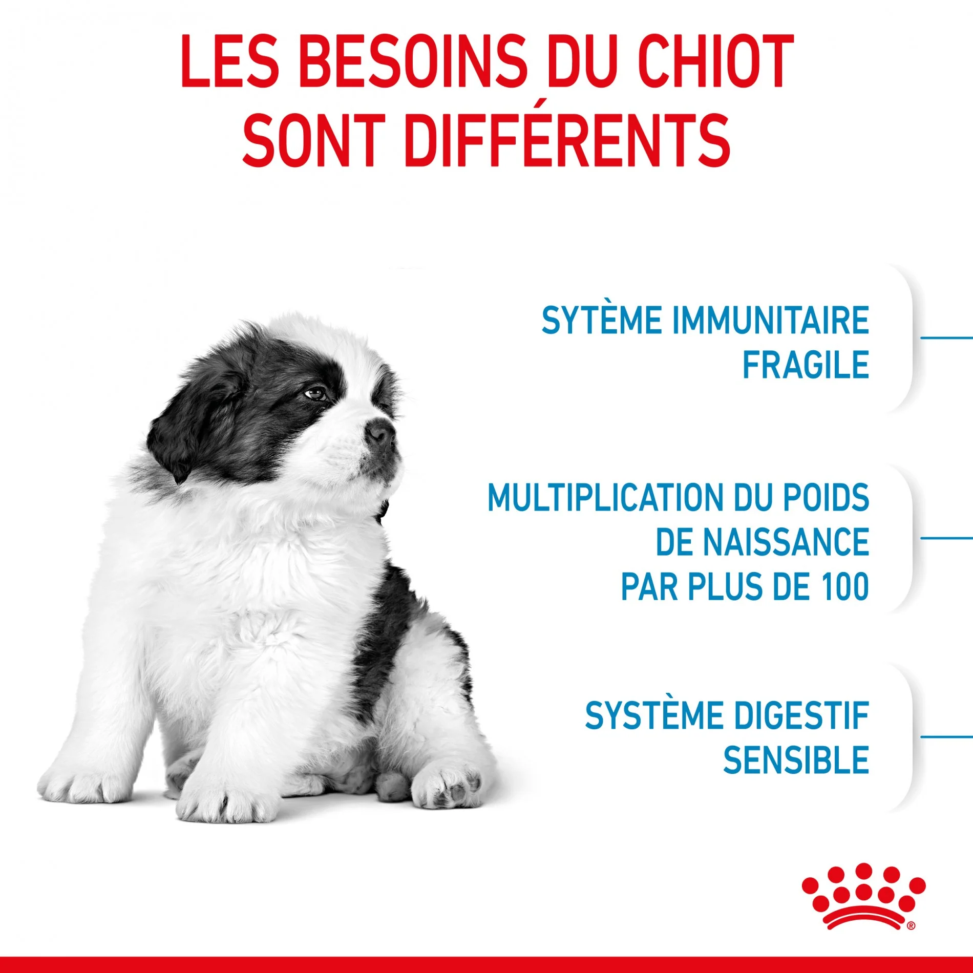 Royal Canin Giant Puppy - Croquettes pour chiot - Image 4