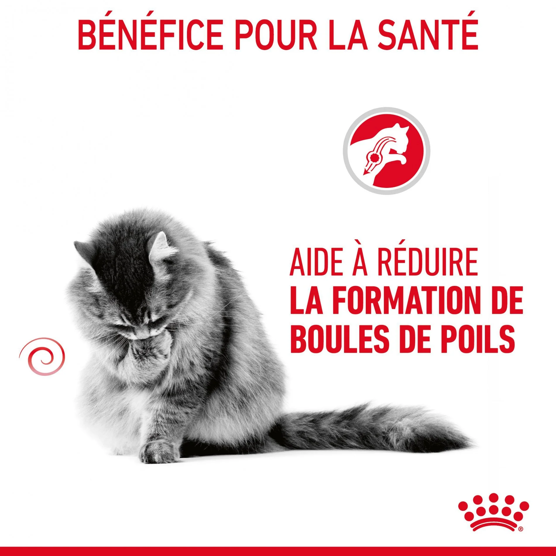 Royal Canin Hairball Care - Croquettes pour chat - Image 11