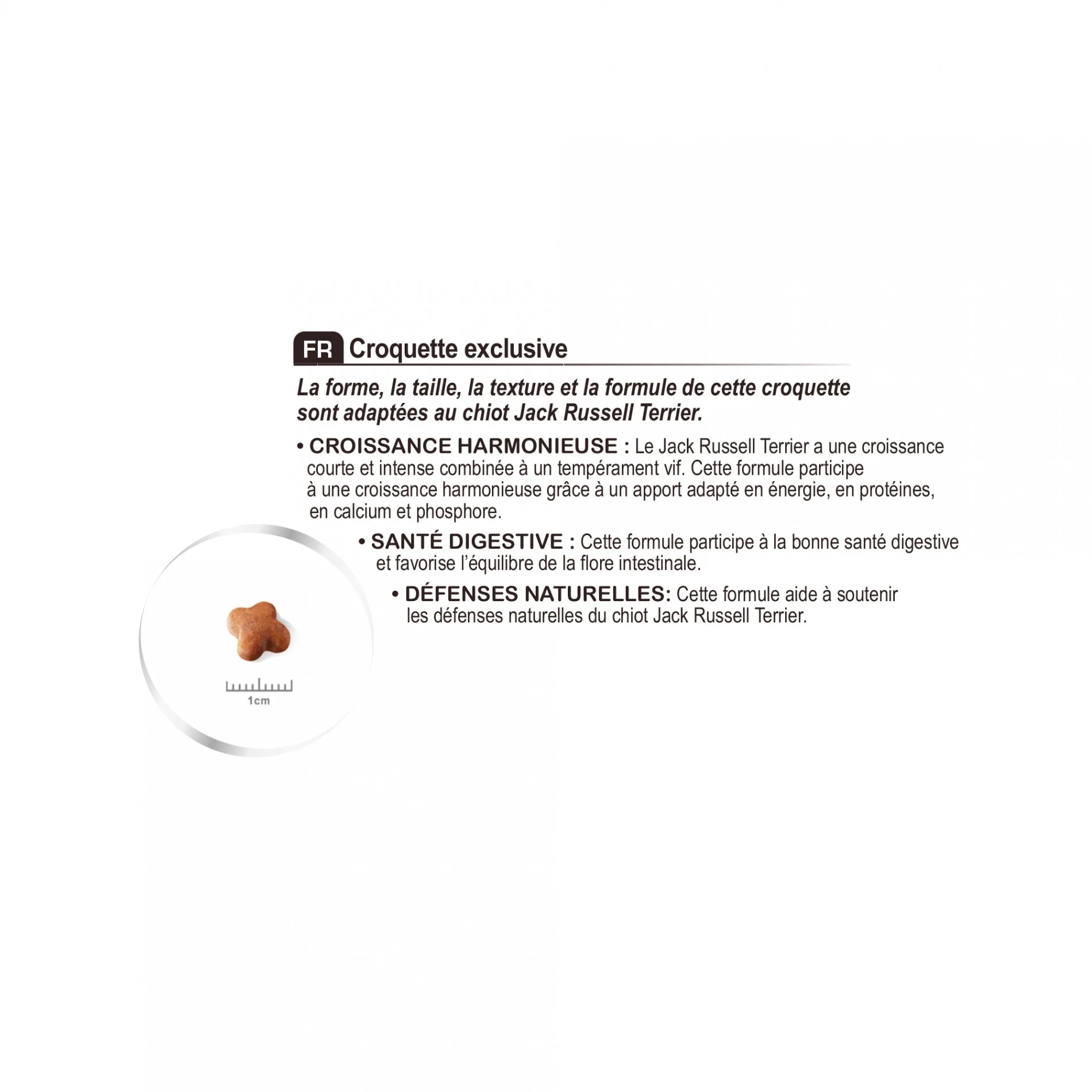 Royal Canin Jack Russell Puppy - Croquettes pour chiot - Image 7