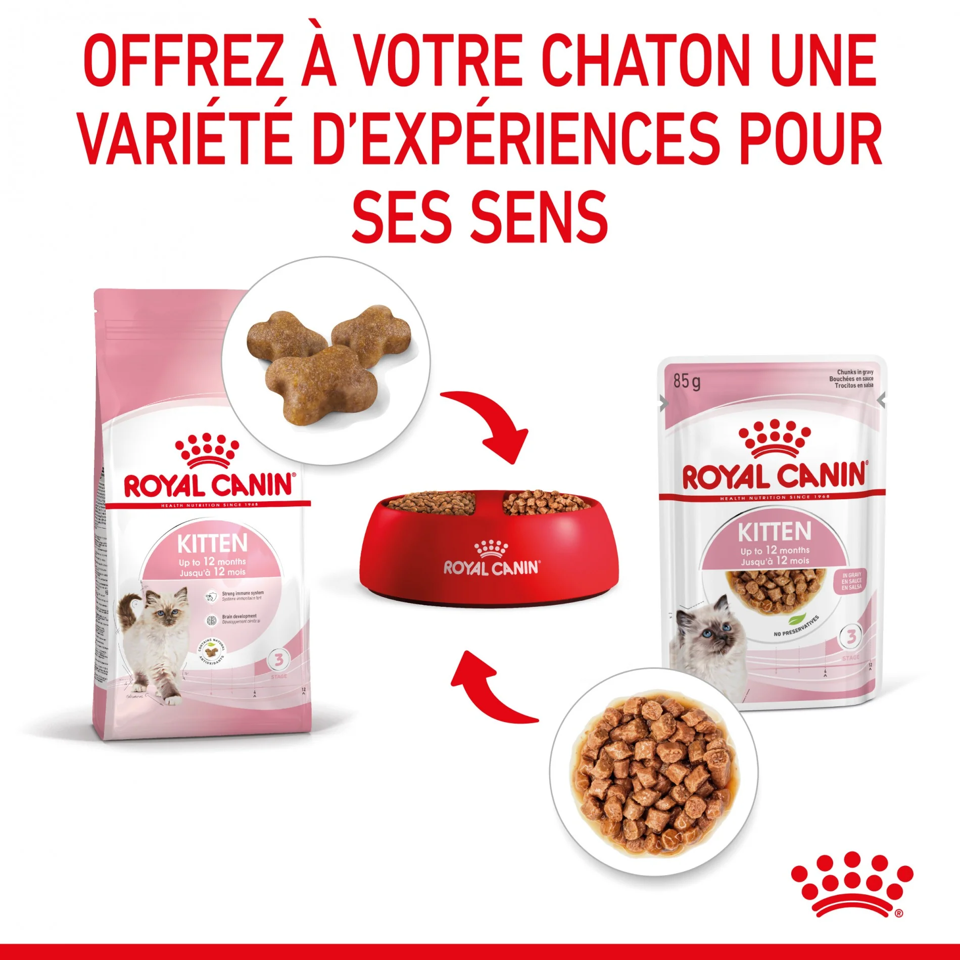 Royal Canin Kitten - Sauce pour chaton - Image 7