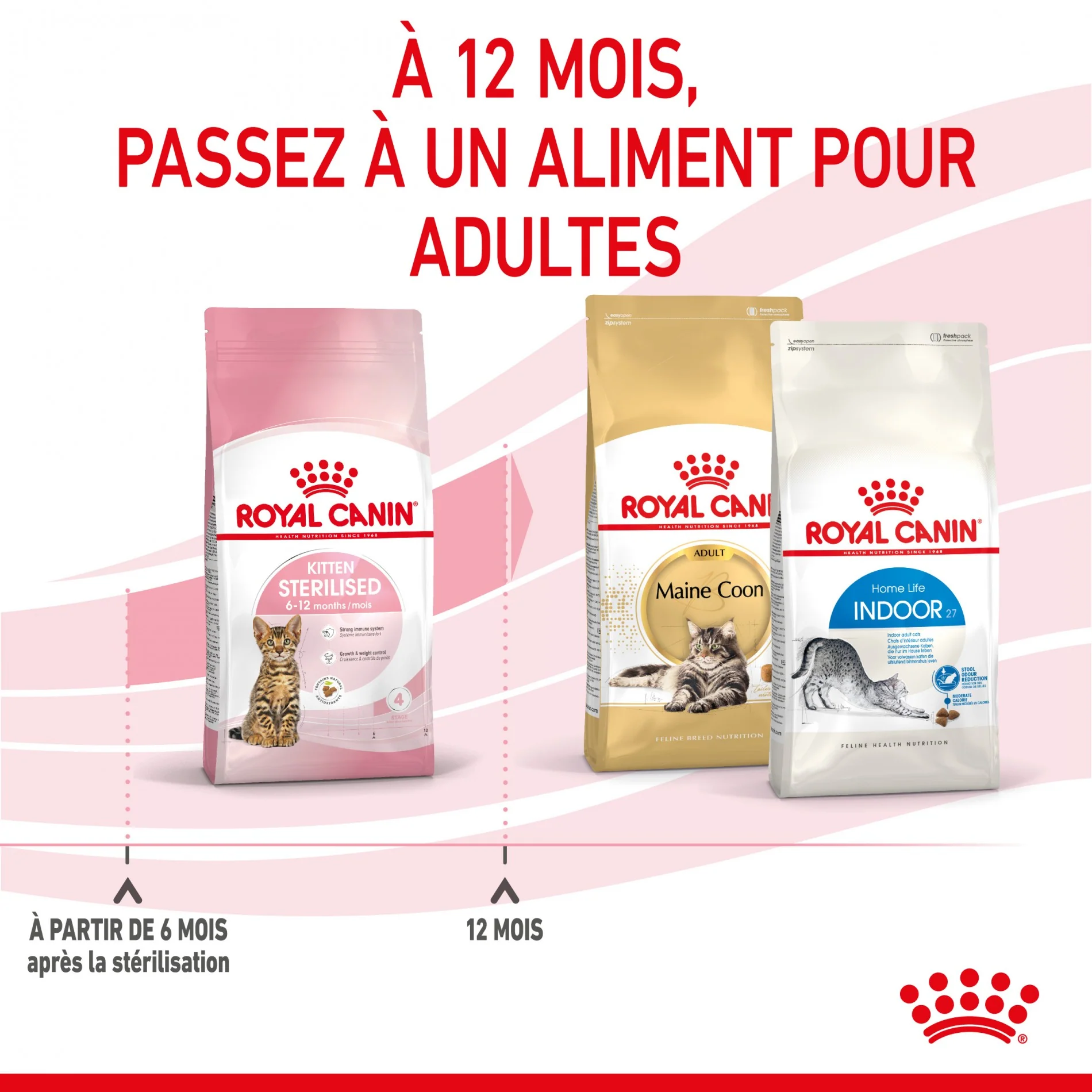Royal Canin Kitten Sterilised - Image 6