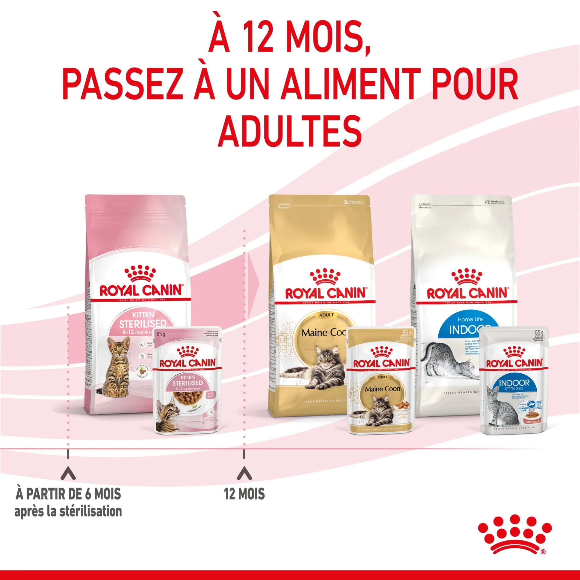 Royal Canin Kitten Sterilised - Gelée et sauce pour chat - Image 10