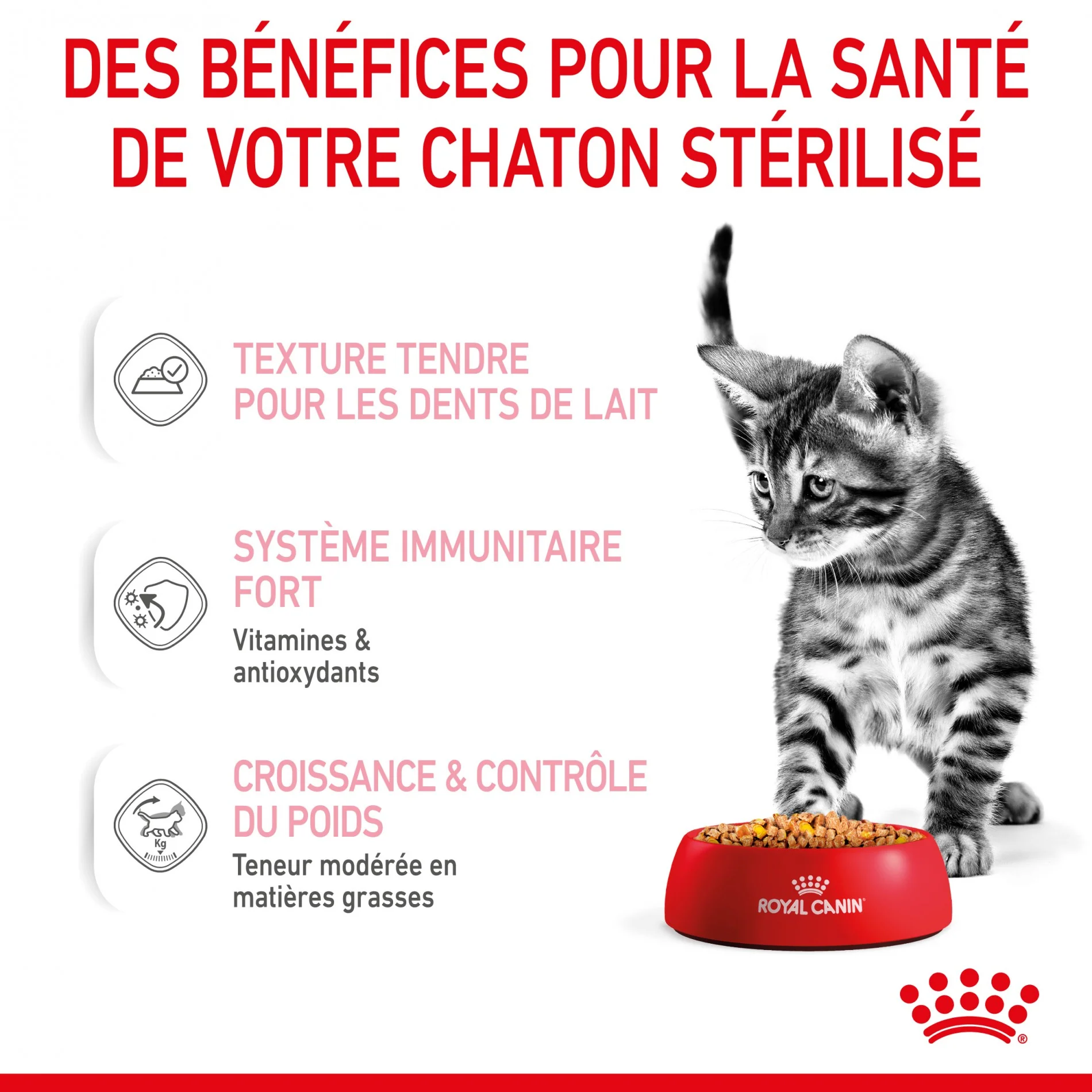 Royal Canin Kitten Sterilised - Gelée et sauce pour chat - Image 17