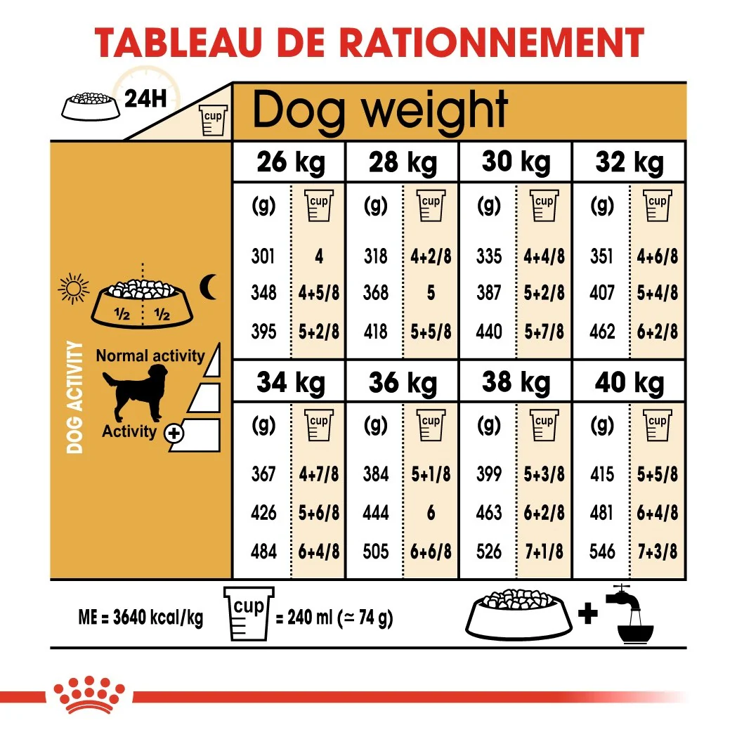 Royal Canin Labrador Retriever Adult - Croquettes pour chien - Image 5