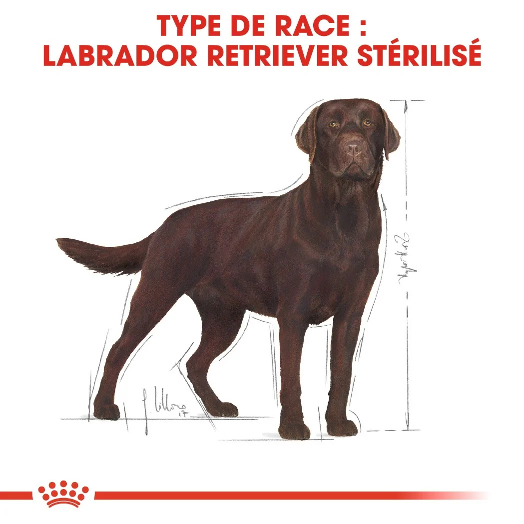 Royal Canin Labrador Retriever Sterilised Adult - Croquettes pour chien - Image 6