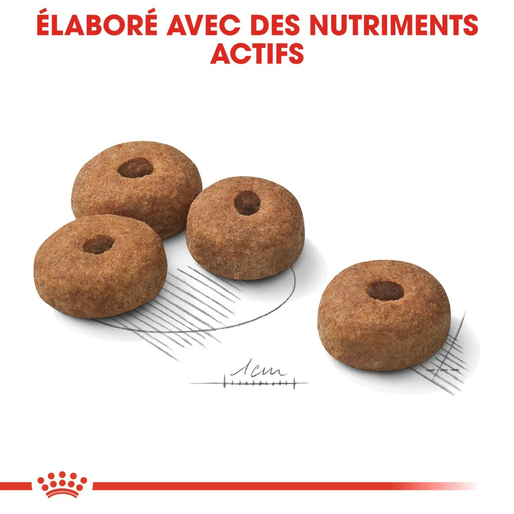 Royal Canin Maxi Sterilised - Croquettes pour chien - Image 5