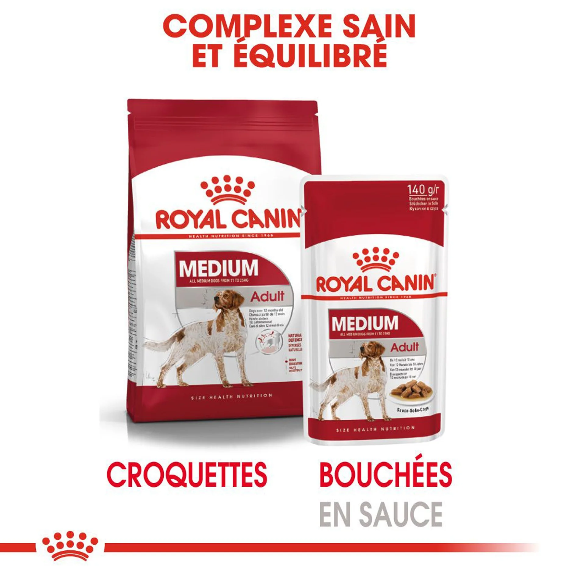 ROYAL CANIN Medium Adult en Sauce - Pâtée pour chien - Image 6