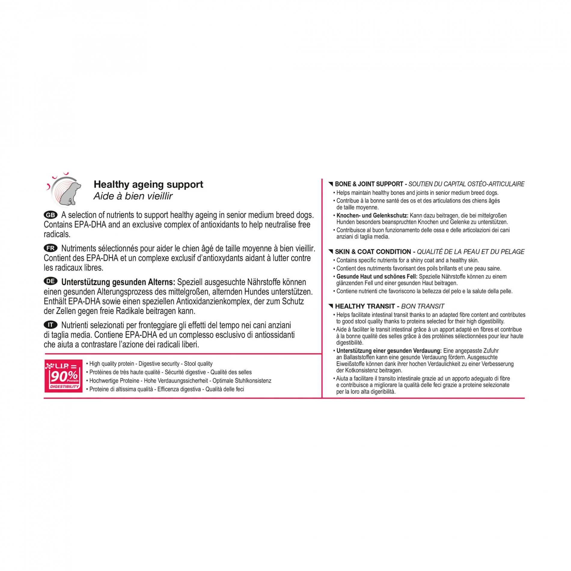 Royal Canin Medium Ageing 10+ - Image 15