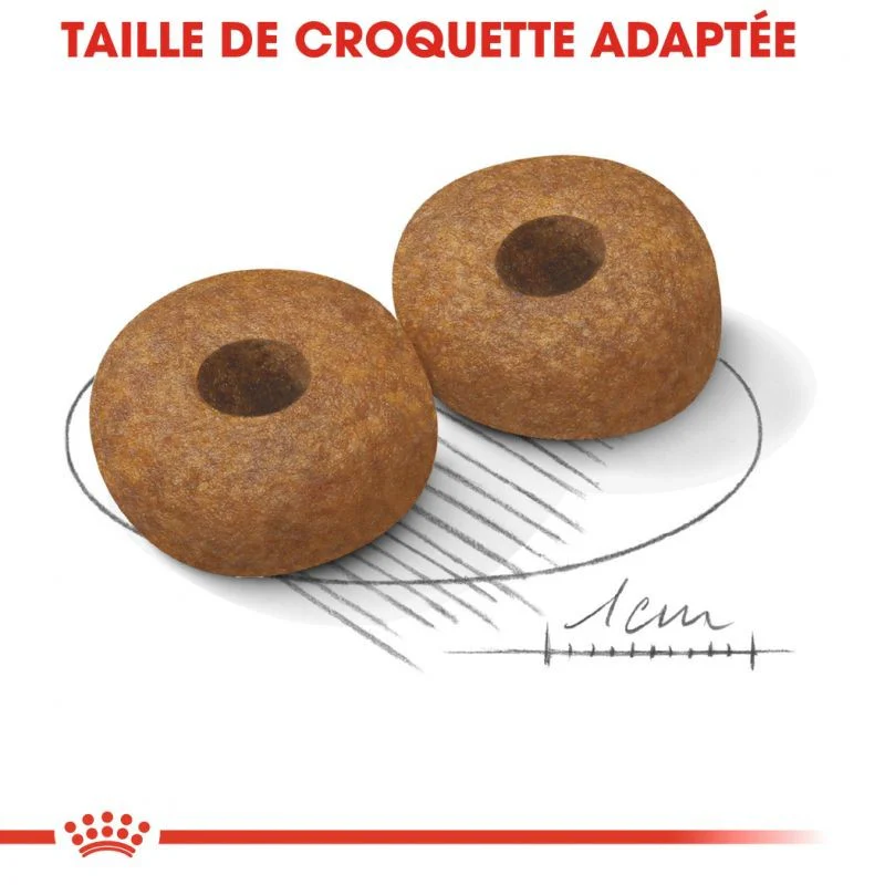 Royal Canin Medium Ageing 10+ - Image 4