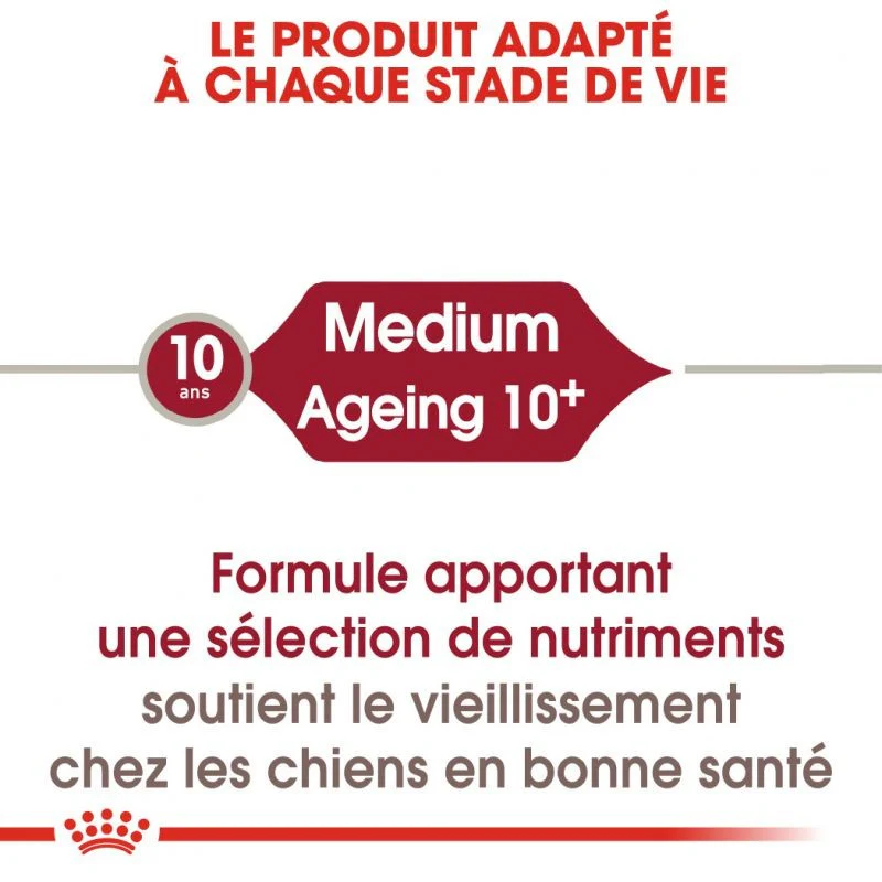 Royal Canin Medium Ageing 10+ - Image 5