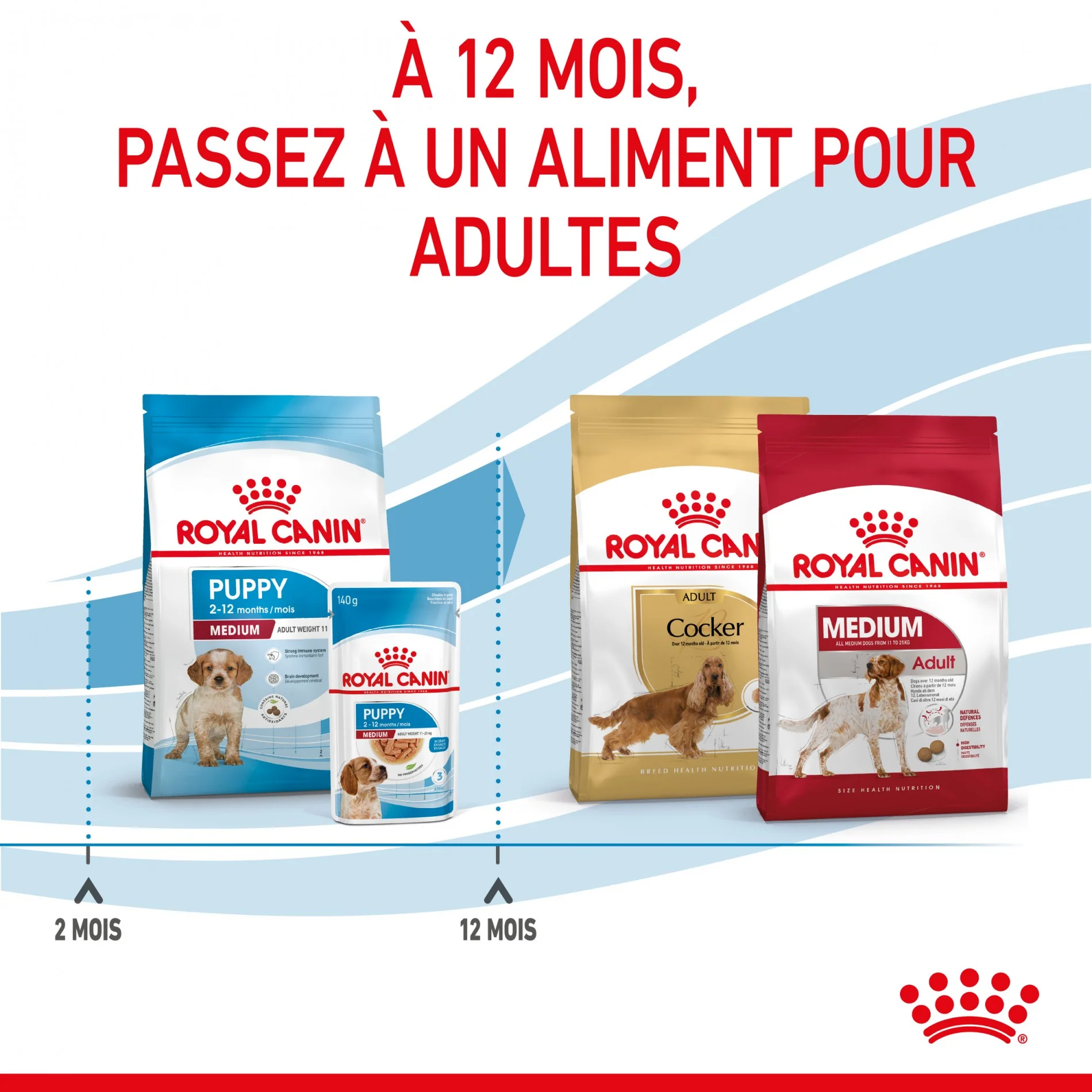 Royal Canin Medium Puppy - Croquettes pour chiot - Image 7