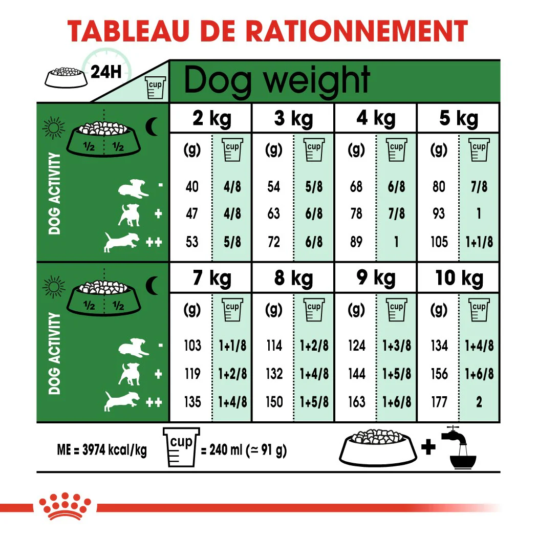 Royal Canin Mini Adult 8+ - Croquettes pour chien - Image 7
