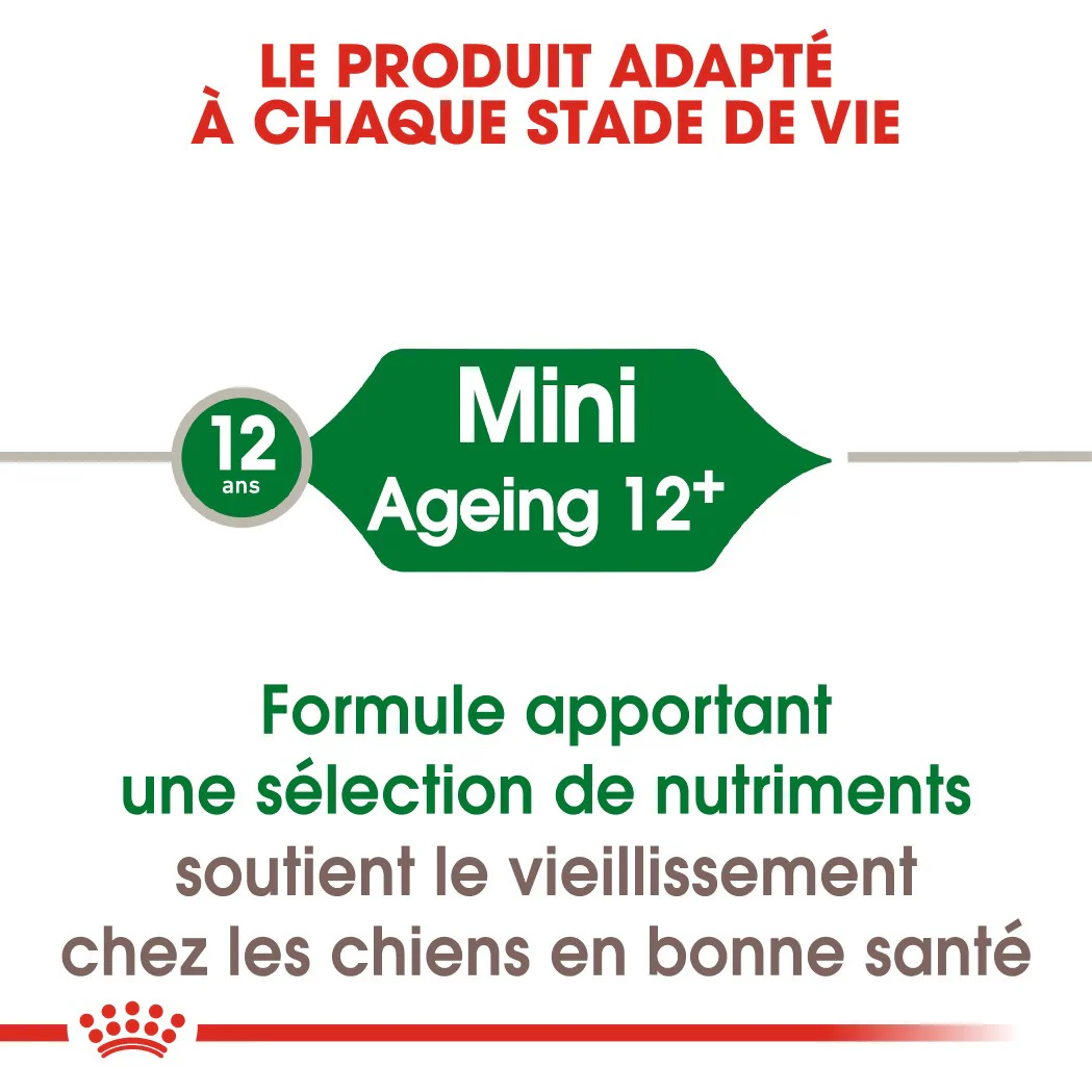 Royal Canin Mini Ageing 12+ - Croquettes pour chien - Image 5