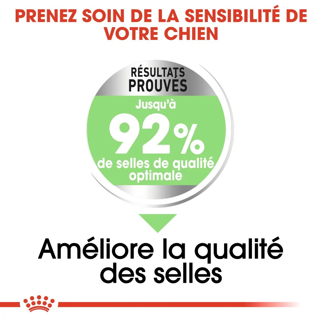 Royal Canin Mini Digestive Care - Croquettes pour chien - Image 4