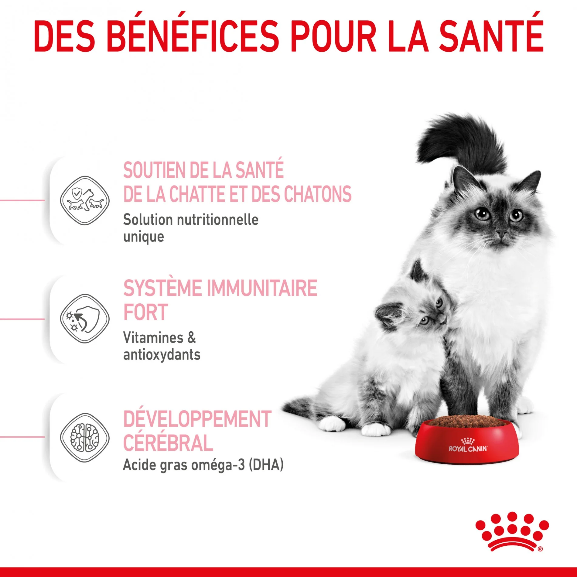 ROYAL CANIN Mother & BabyCat - Croquettes pour chatte et chaton - Image 5
